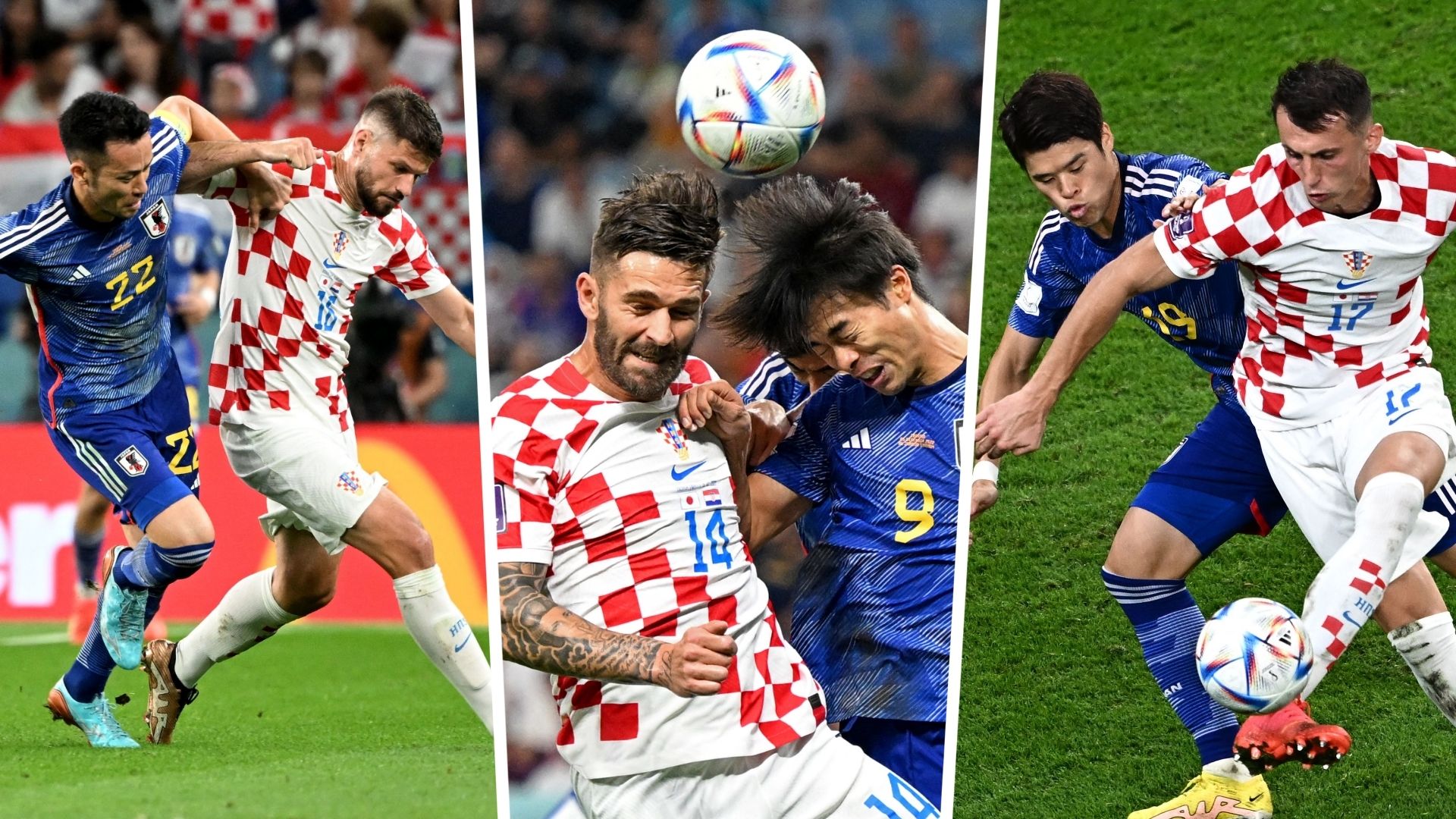 Petkovic Livaja Budimir