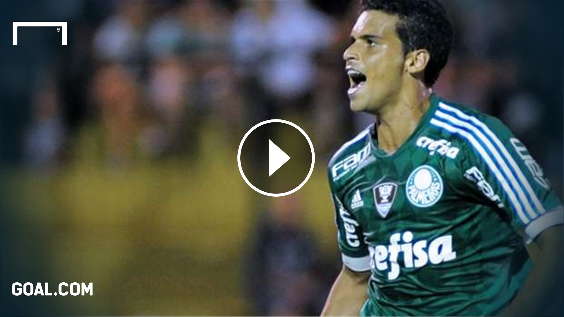 Jean Vídeo palmeiras