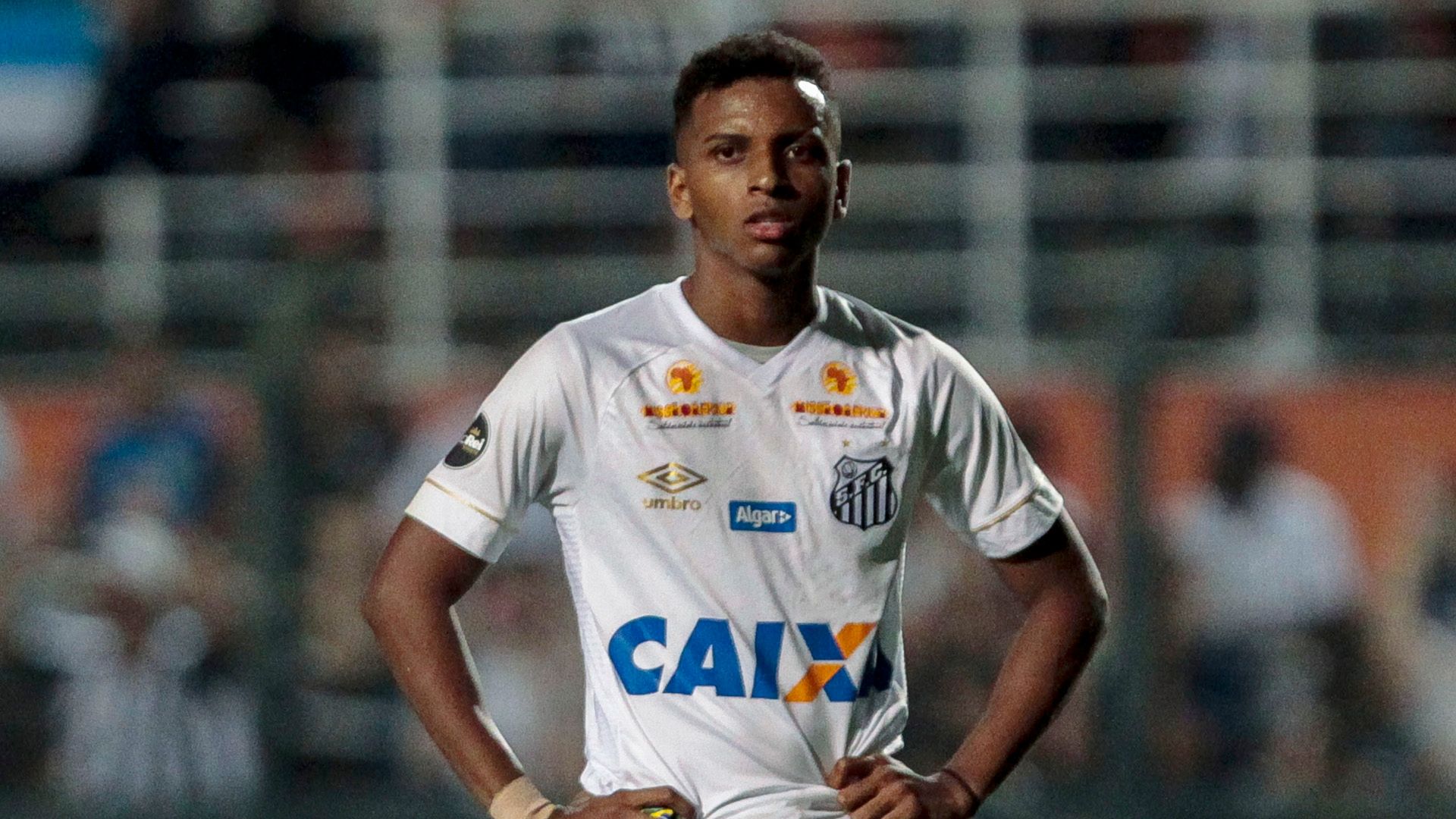 Rodrygo Santos Palmeiras Brasileirao Serie A 19072018