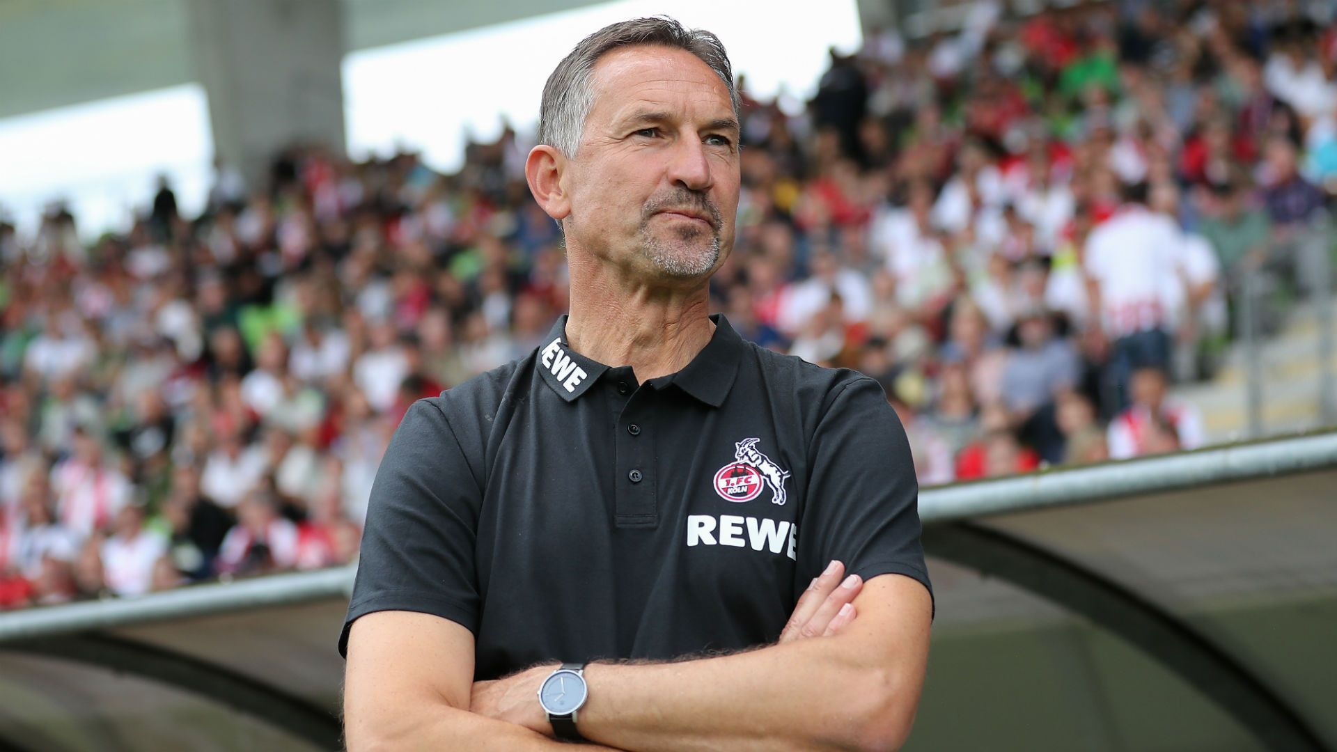 Achim Beierlorzer 1. FC Köln