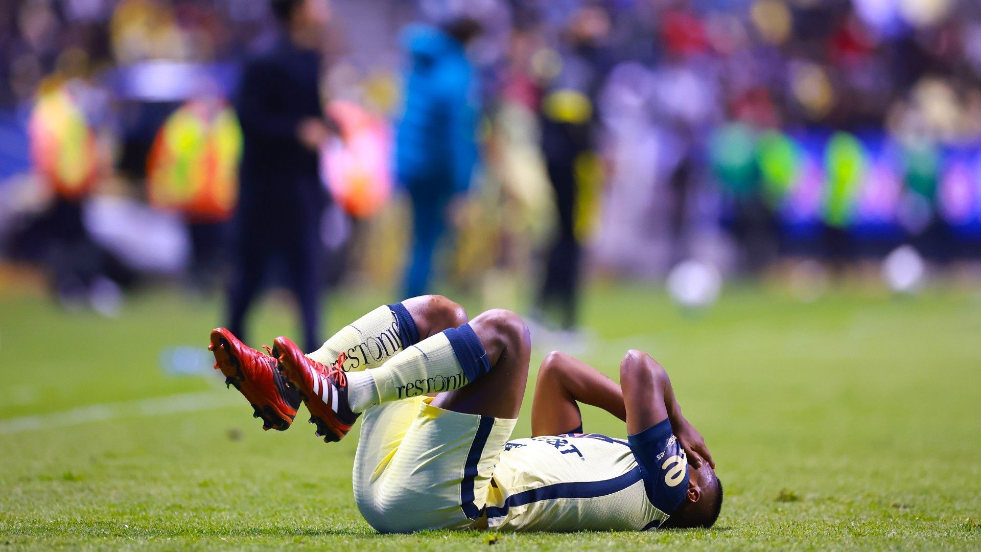 América Clausura 2022