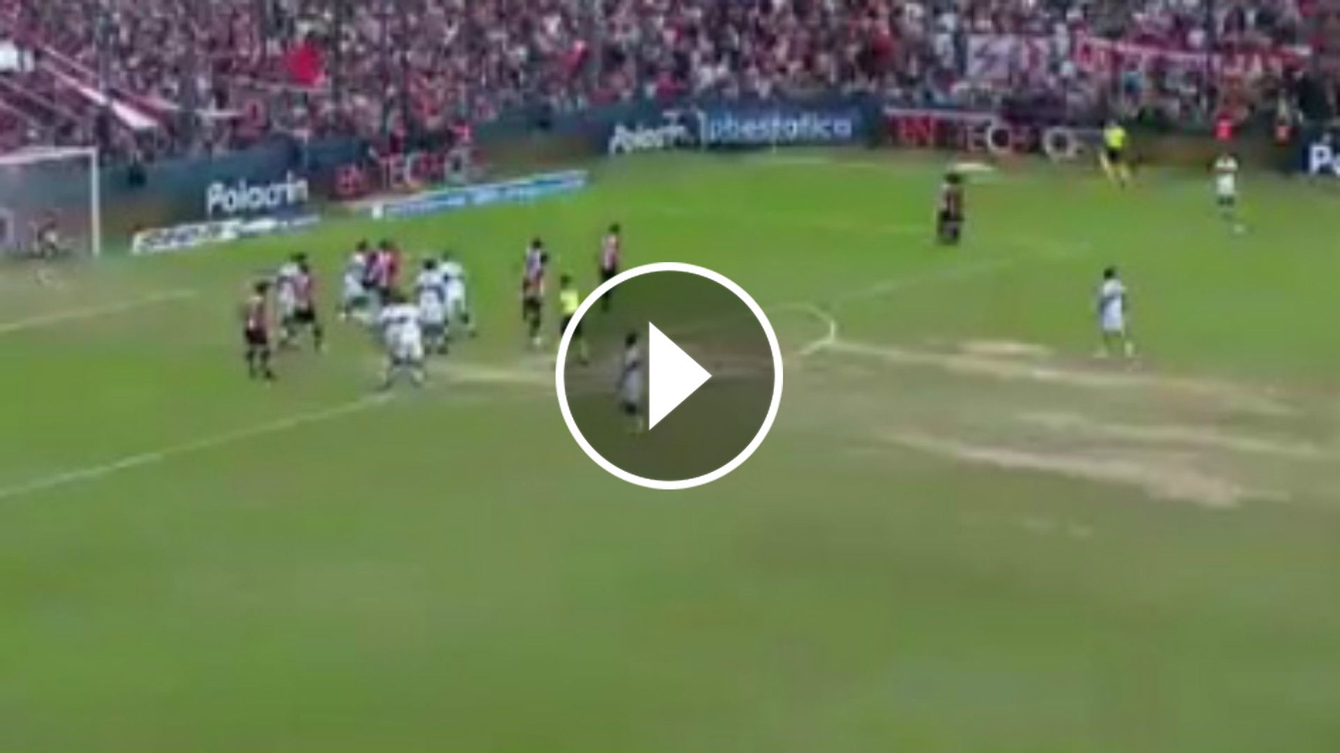 video gelp estudiantes