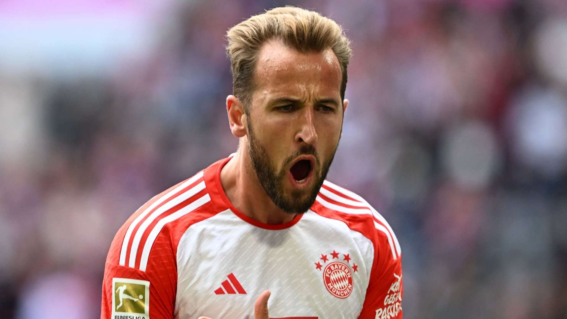 Harry Kane Bayern 2023-24