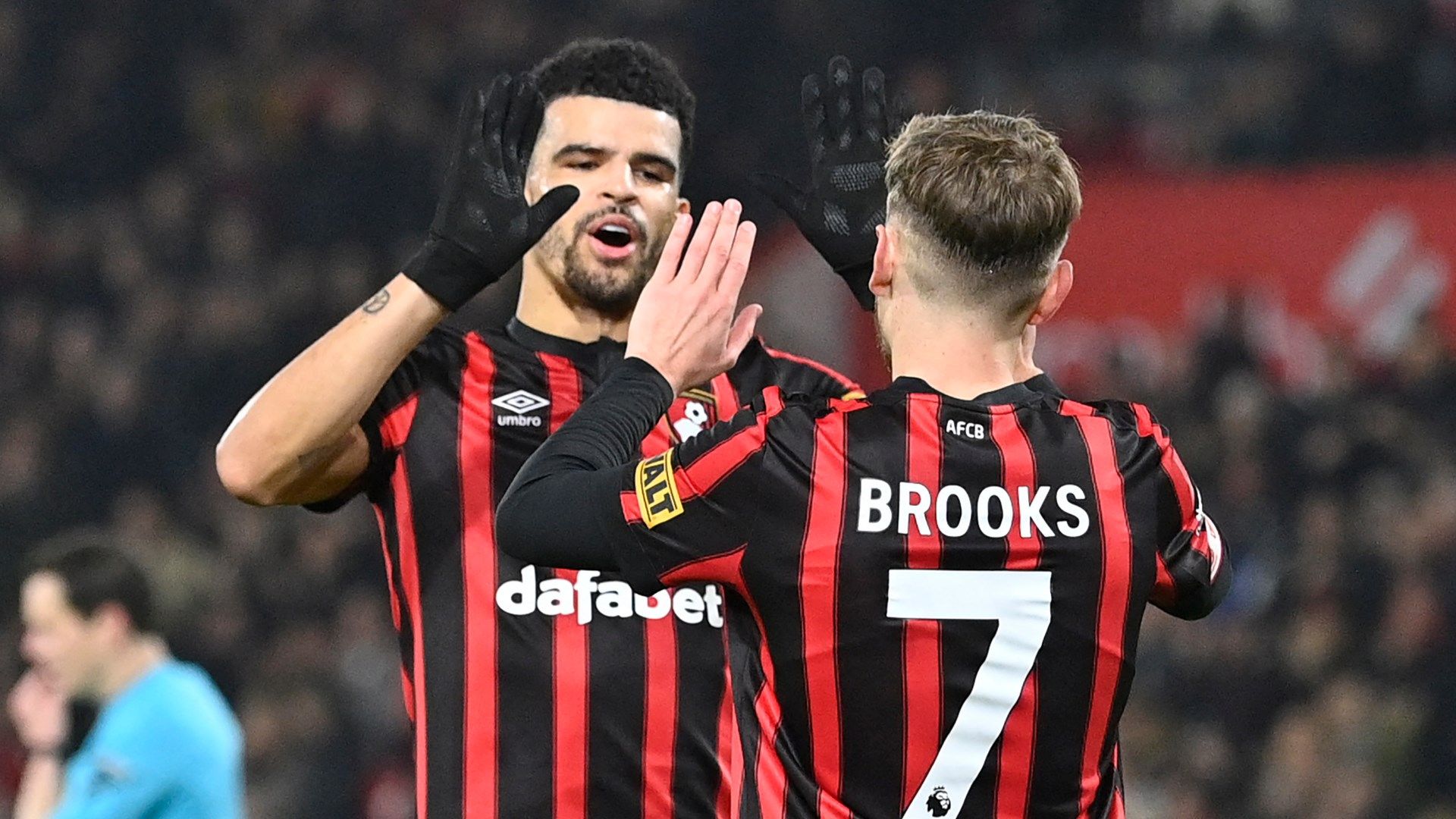 Dominic Solanke Bournemouth 2024