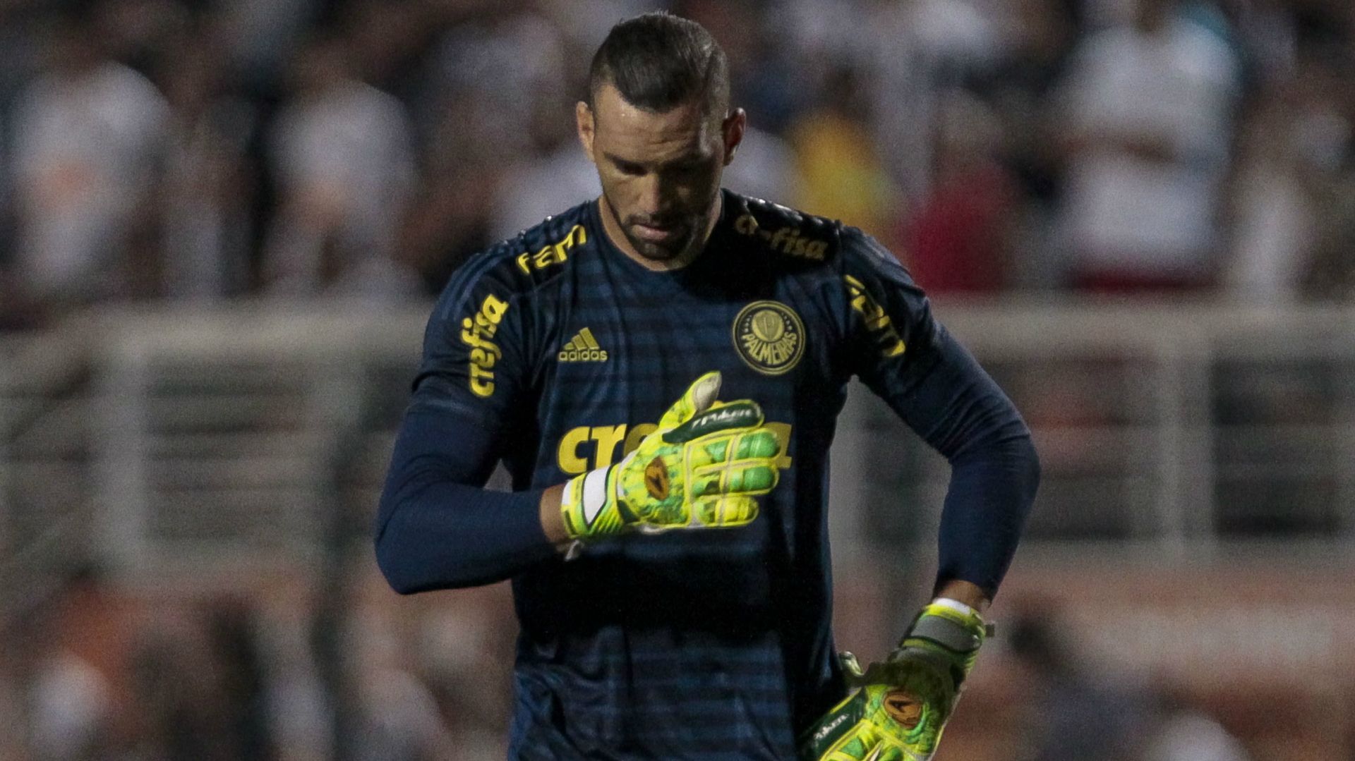 Weverton Palmeiras