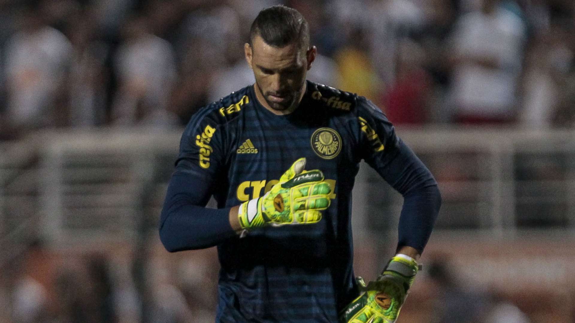 Weverton Palmeiras