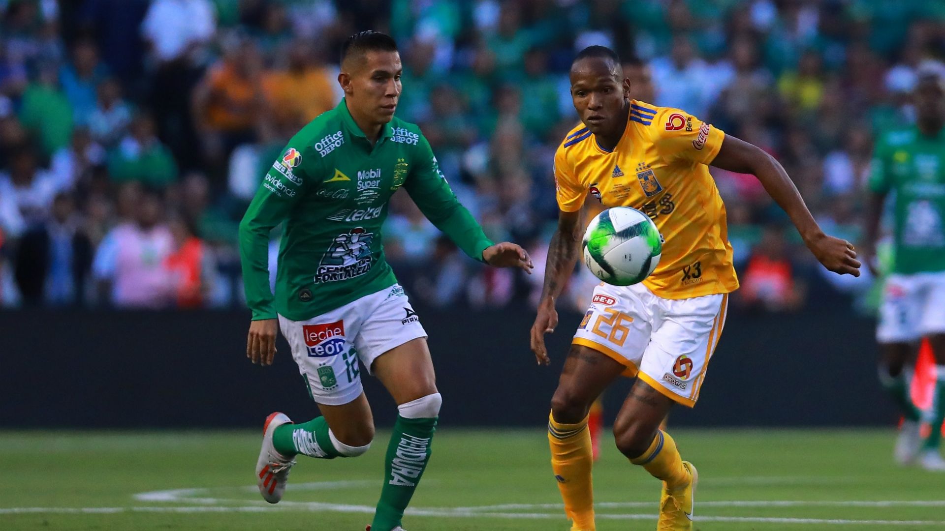 León Tigres
