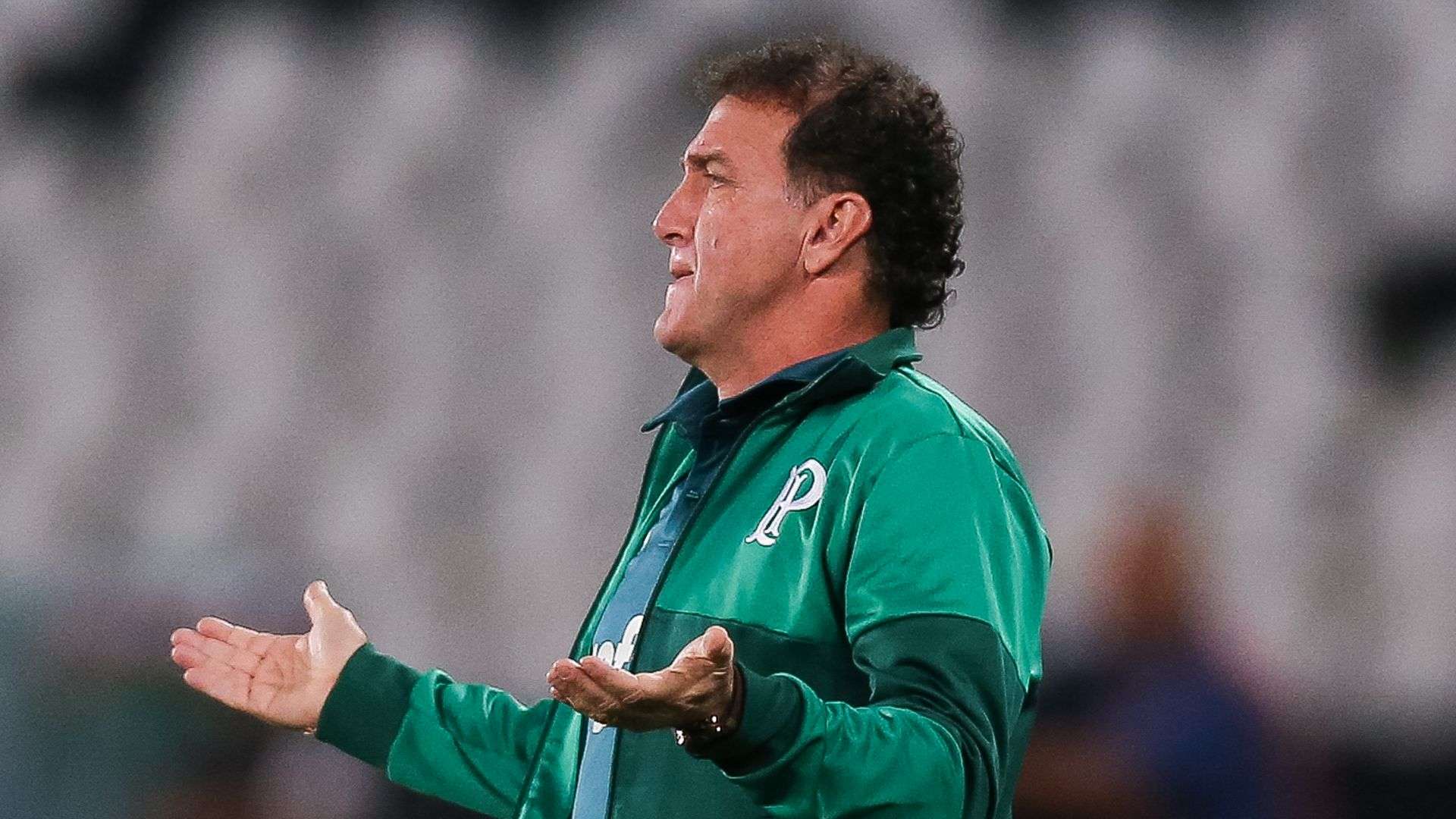 Cuca Botafogo Palmeiras Brasileirao Serie A 02082017