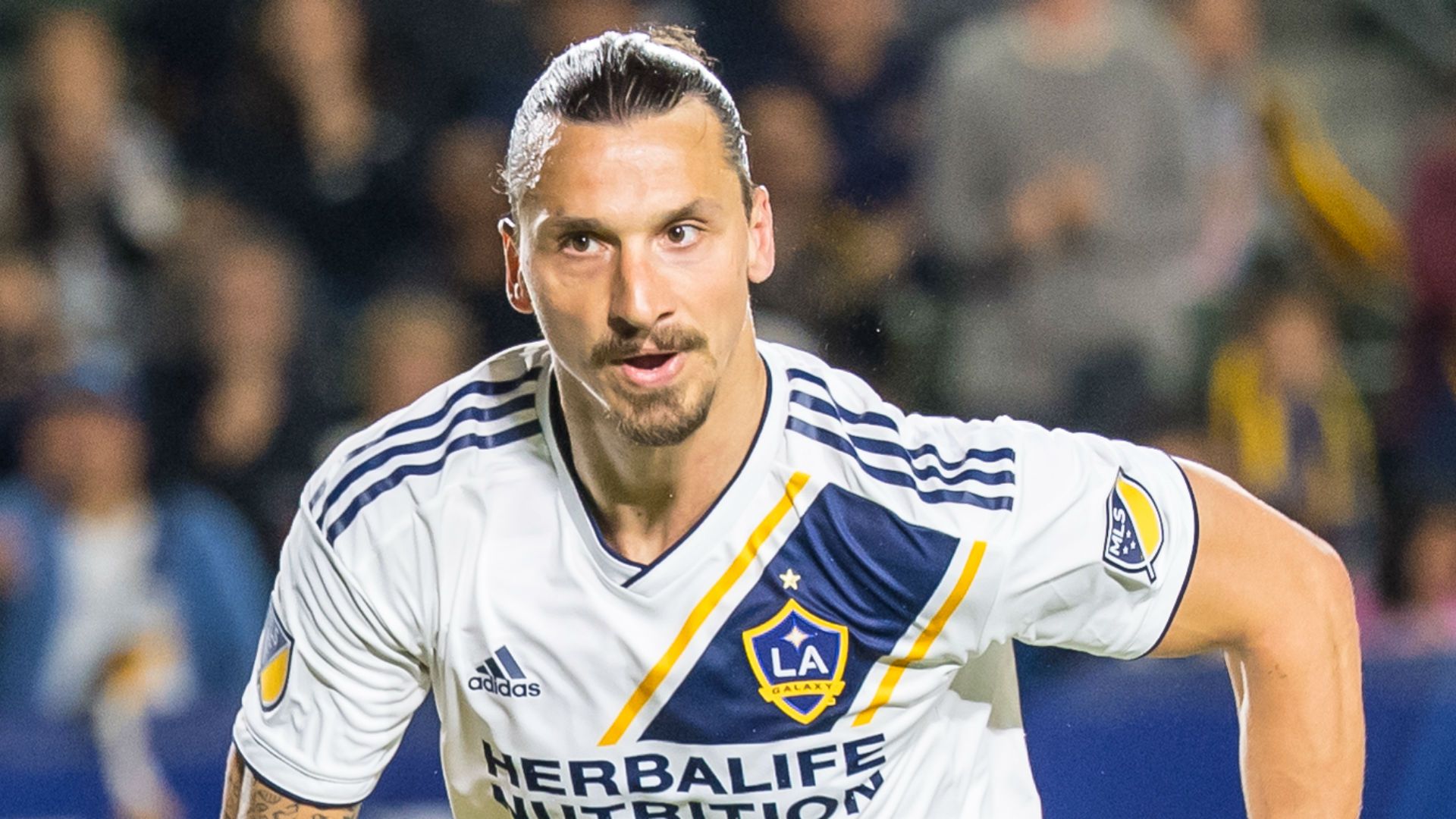 zlatan ibra-cropped