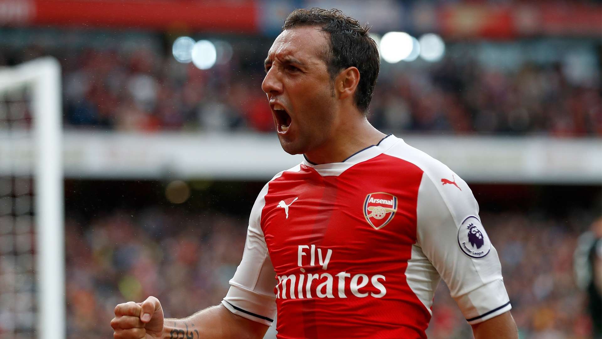 Santi Cazorla Arsenal