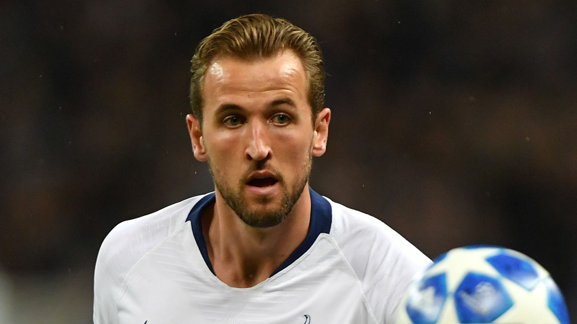 Harry Kane Tottenham 2018-19