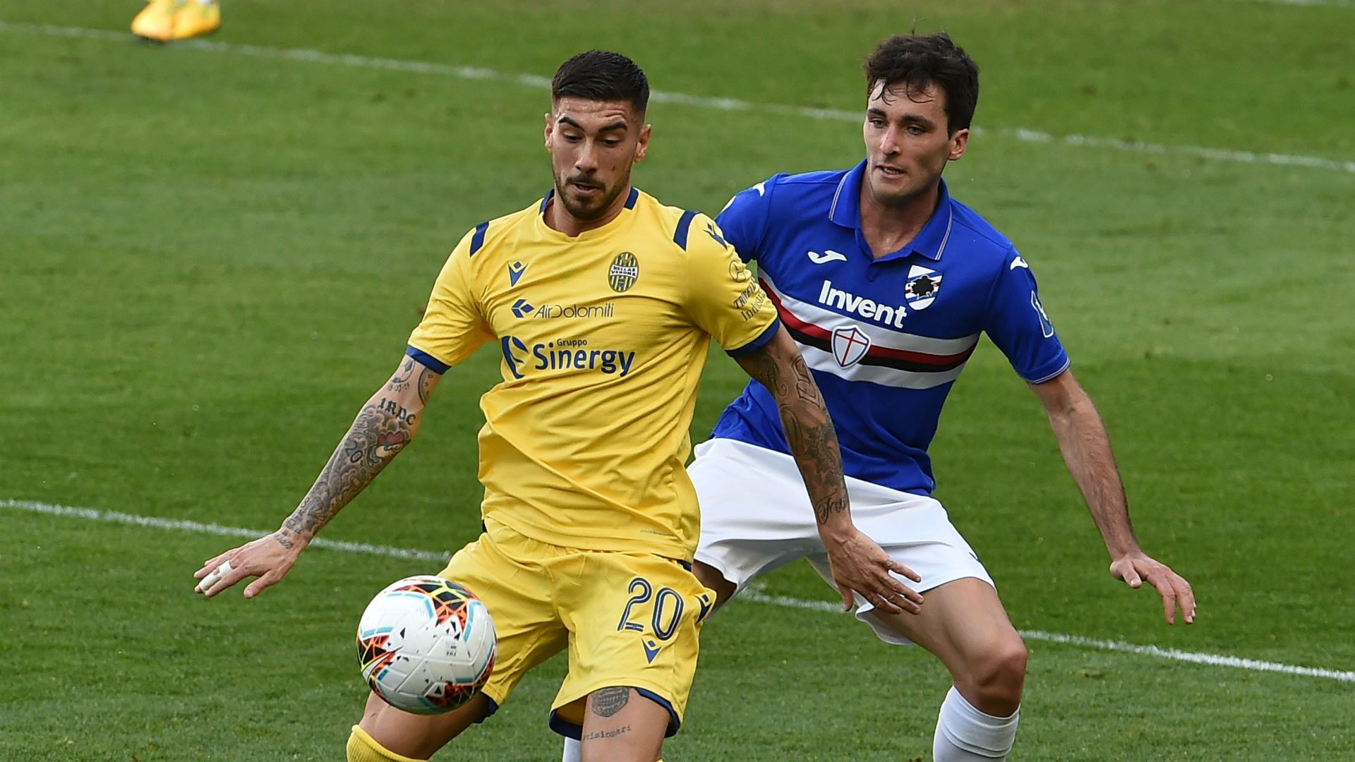 Sampdoria Verona Zaccagni