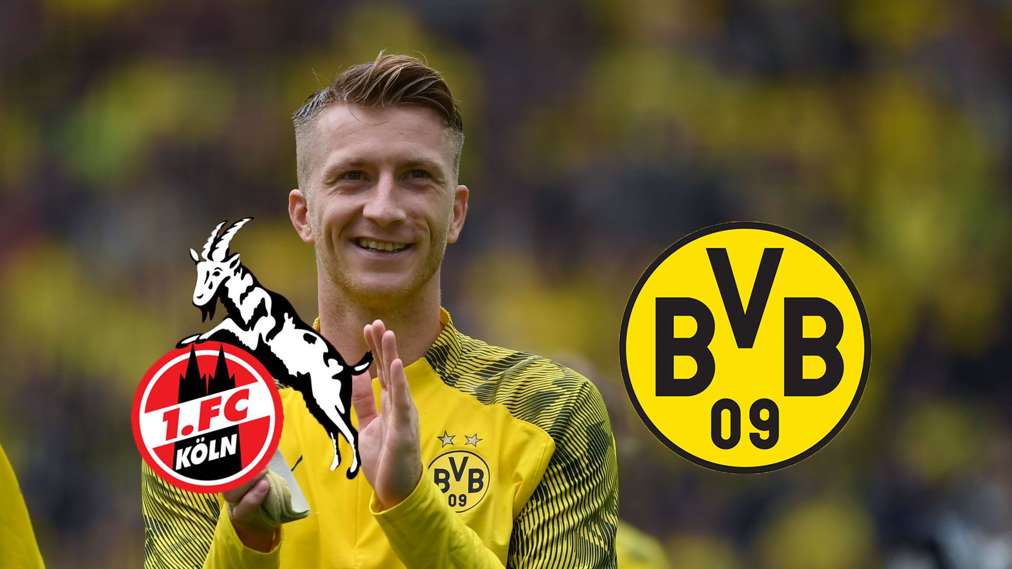 1. FC Köln BVB Borussia Dortmund