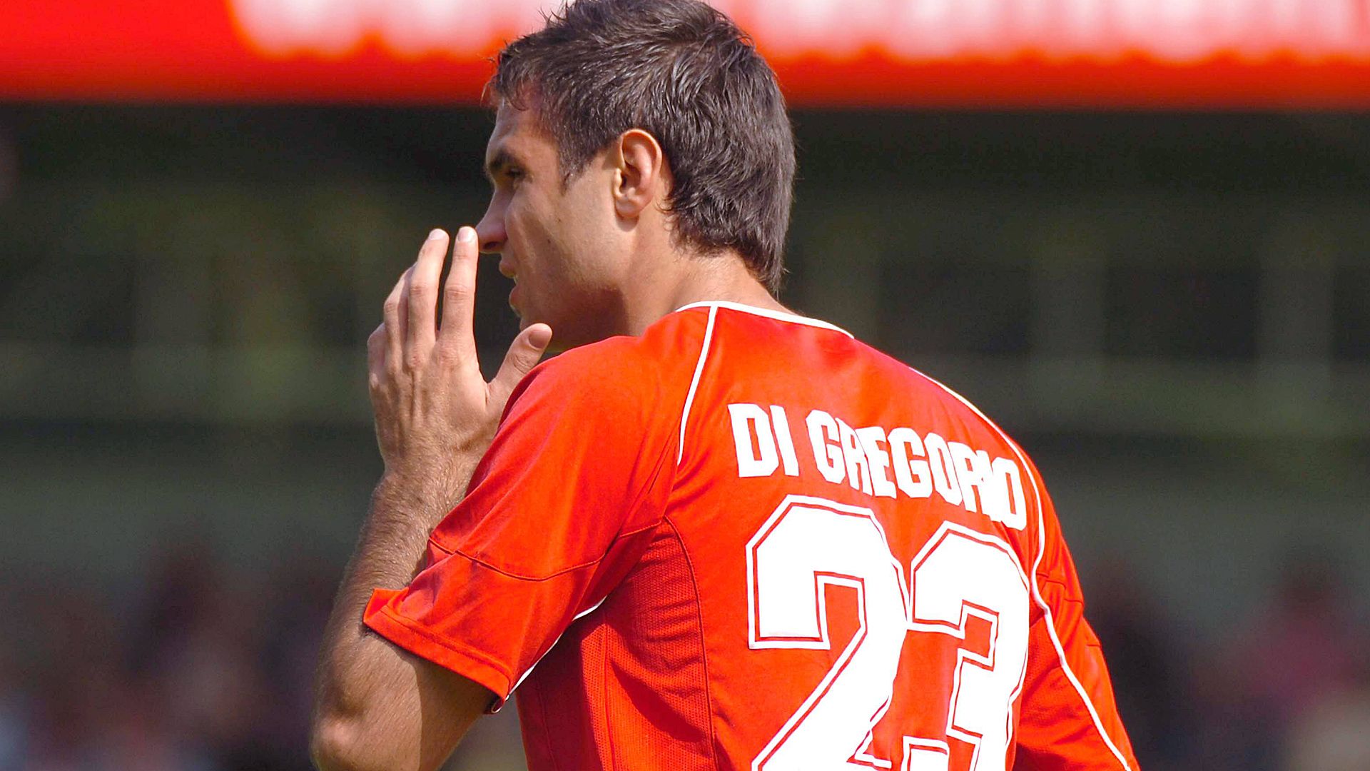 ONLY GERMANY Baldo Di Gregorio