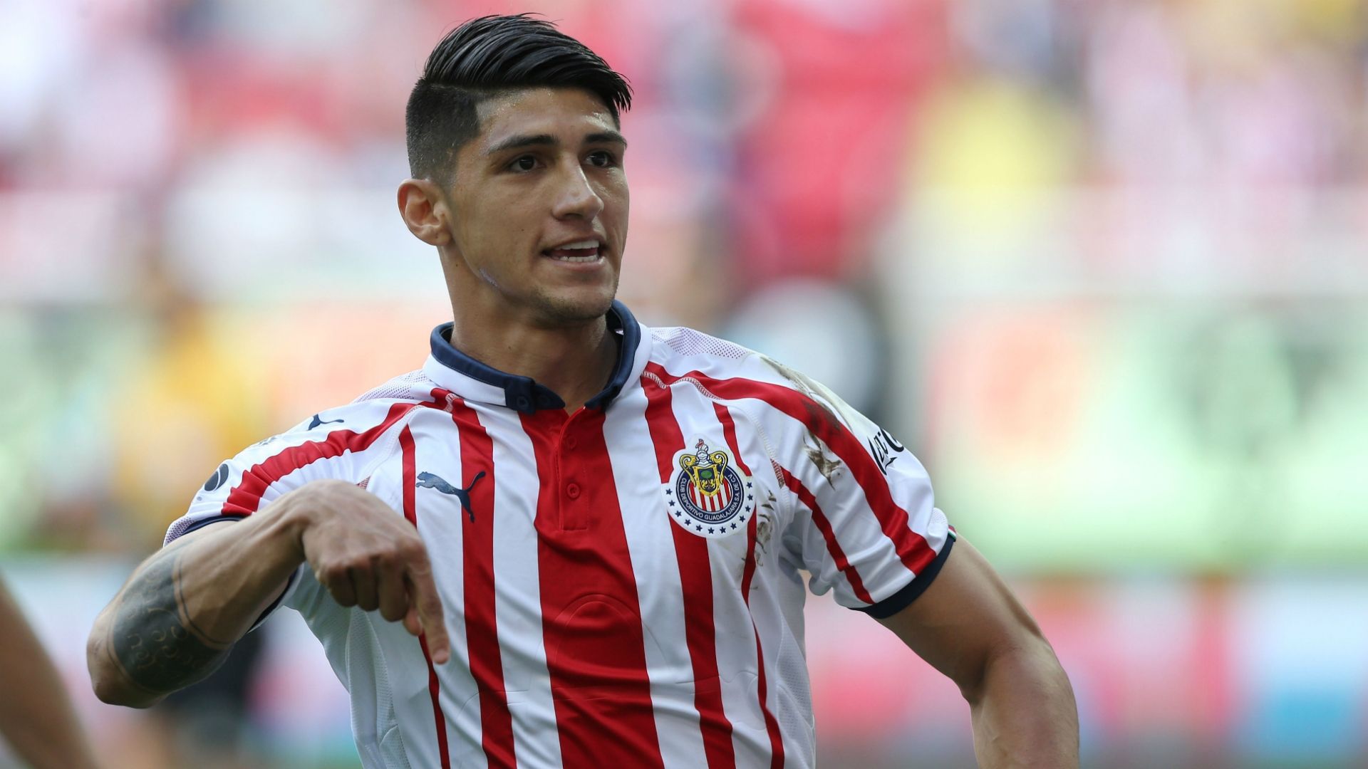 Alan Pulido