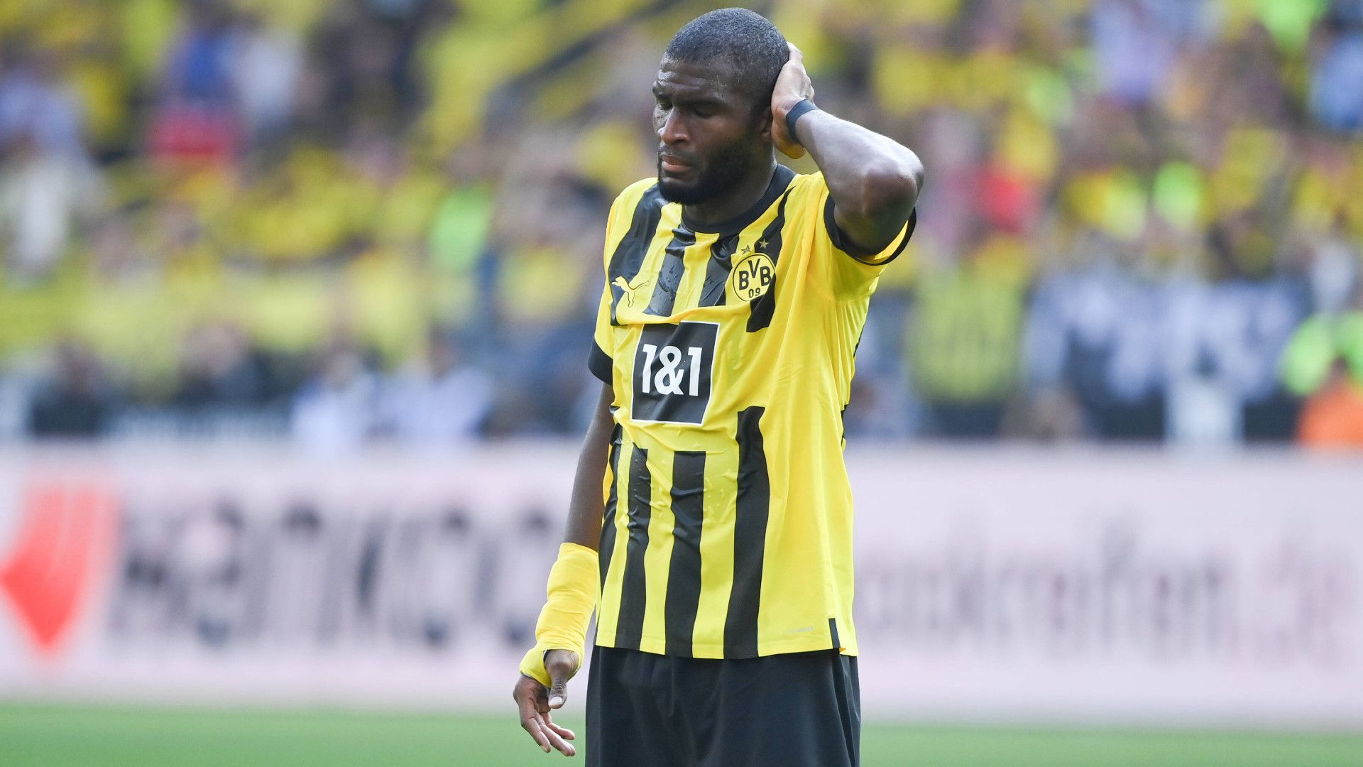 GERMANY ONLY: ANTHONY MODESTE BORUSSIA DORTMUND BUNDESLIGA 20082022