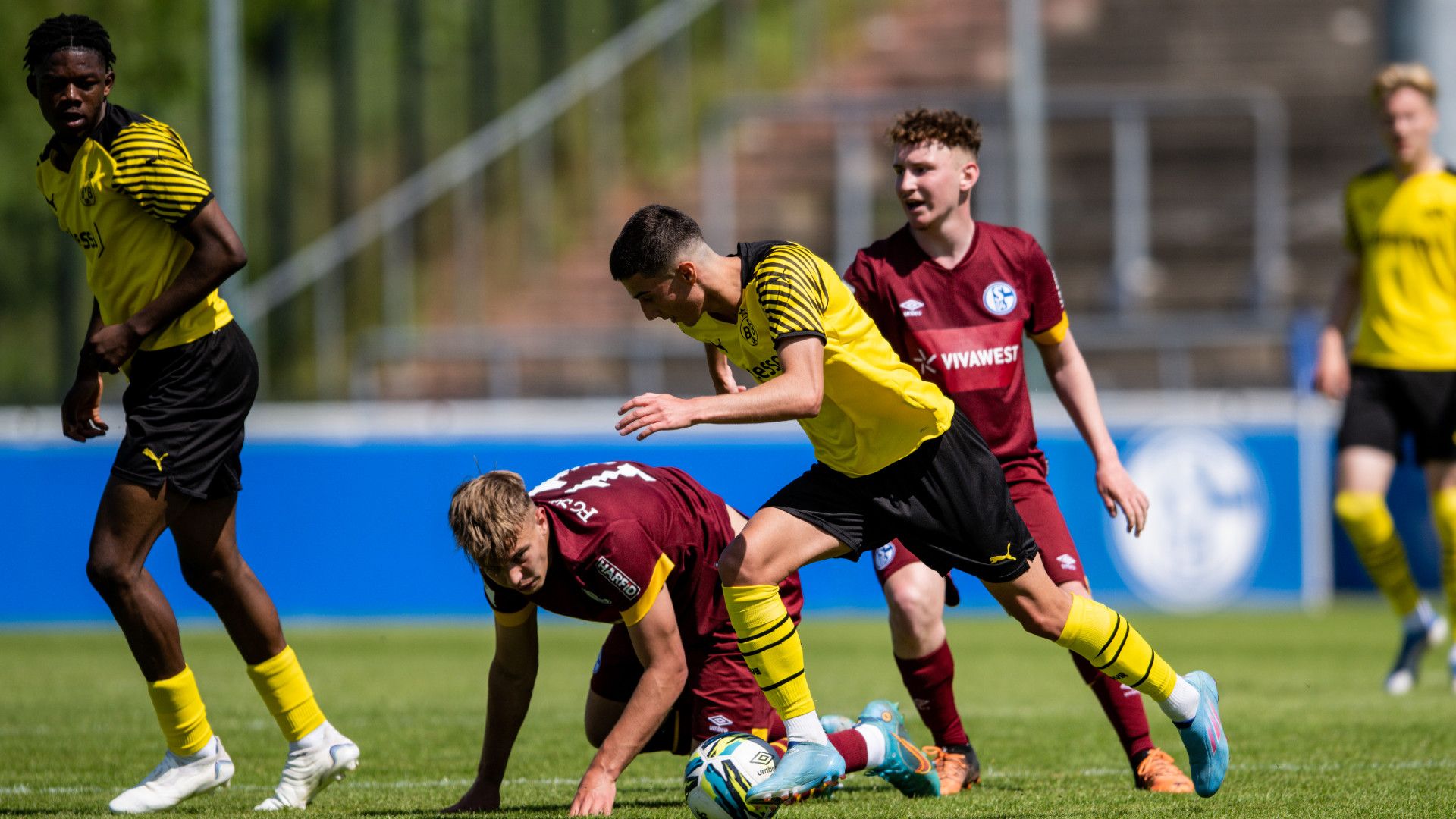 GÖKTAN GÜRPÜZ BORUSSIA DORTMUND