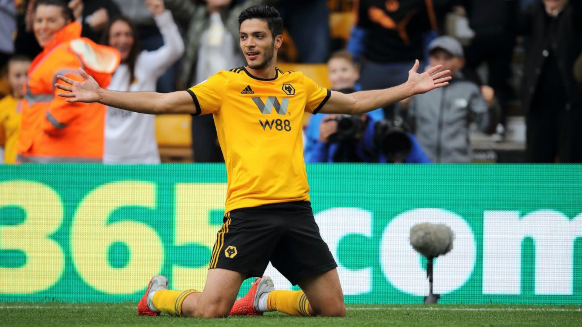 Raúl Jiménez Wolverhampton