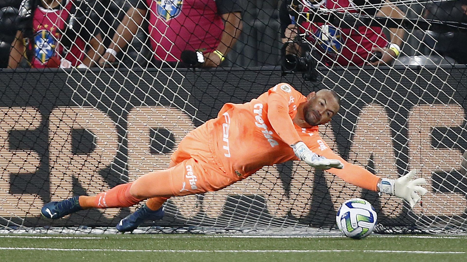 Weverton, Botafogo x Palmeiras 2023