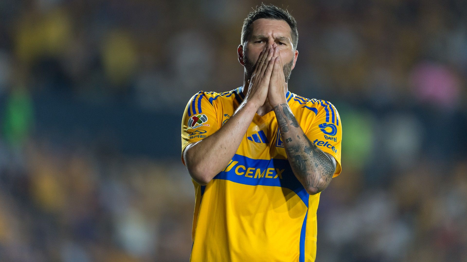 André-Pierre Gignac Tigres Apertura 2024 Liga MX