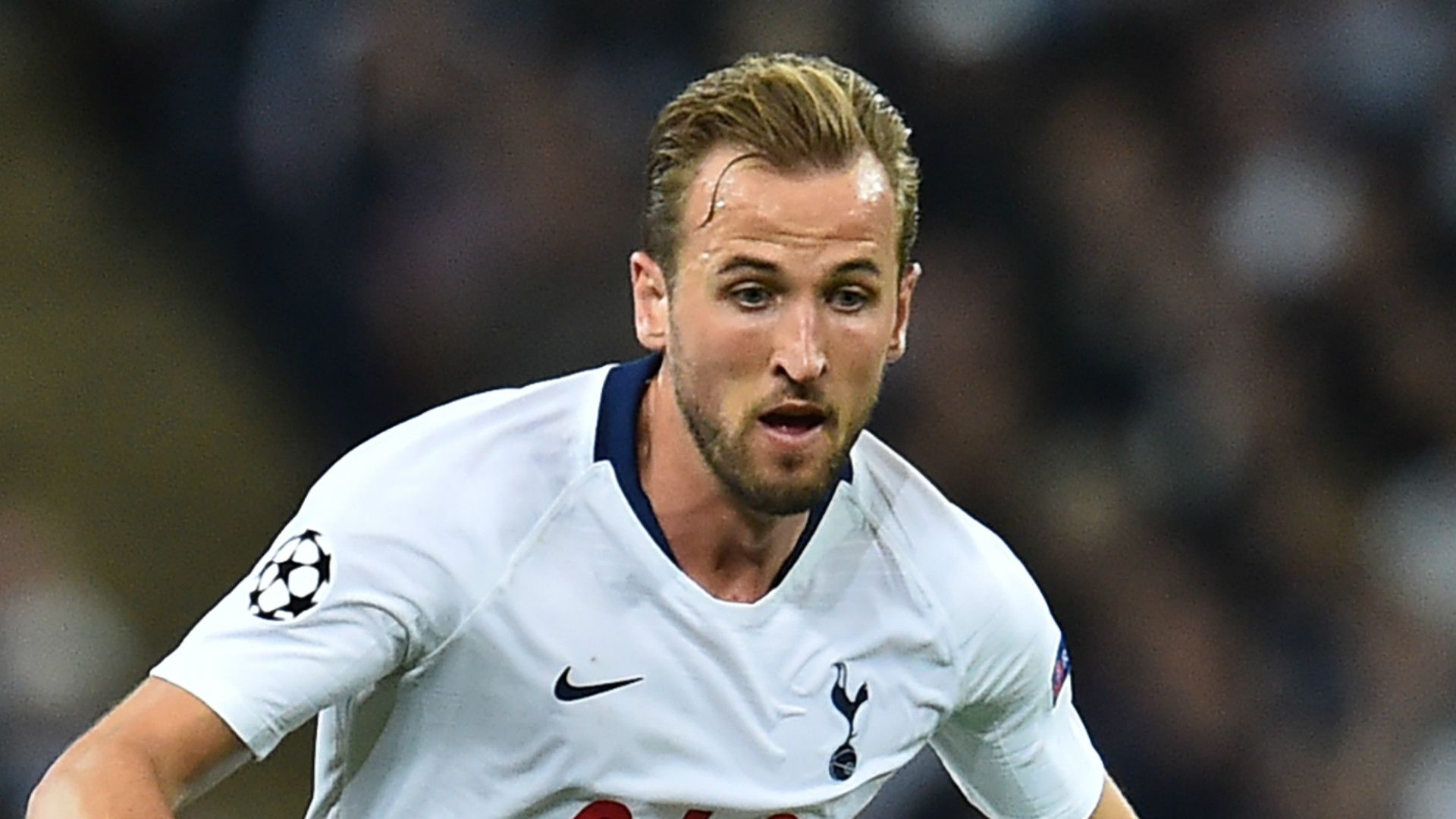 Harry Kane Tottenham 2018-19