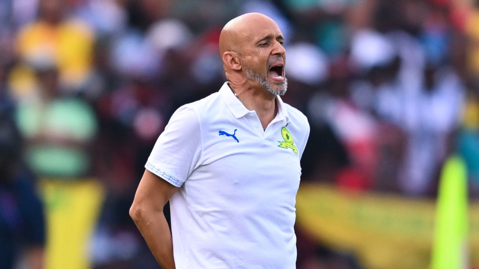 Miguel Cardoso, Mamelodi Sundowns