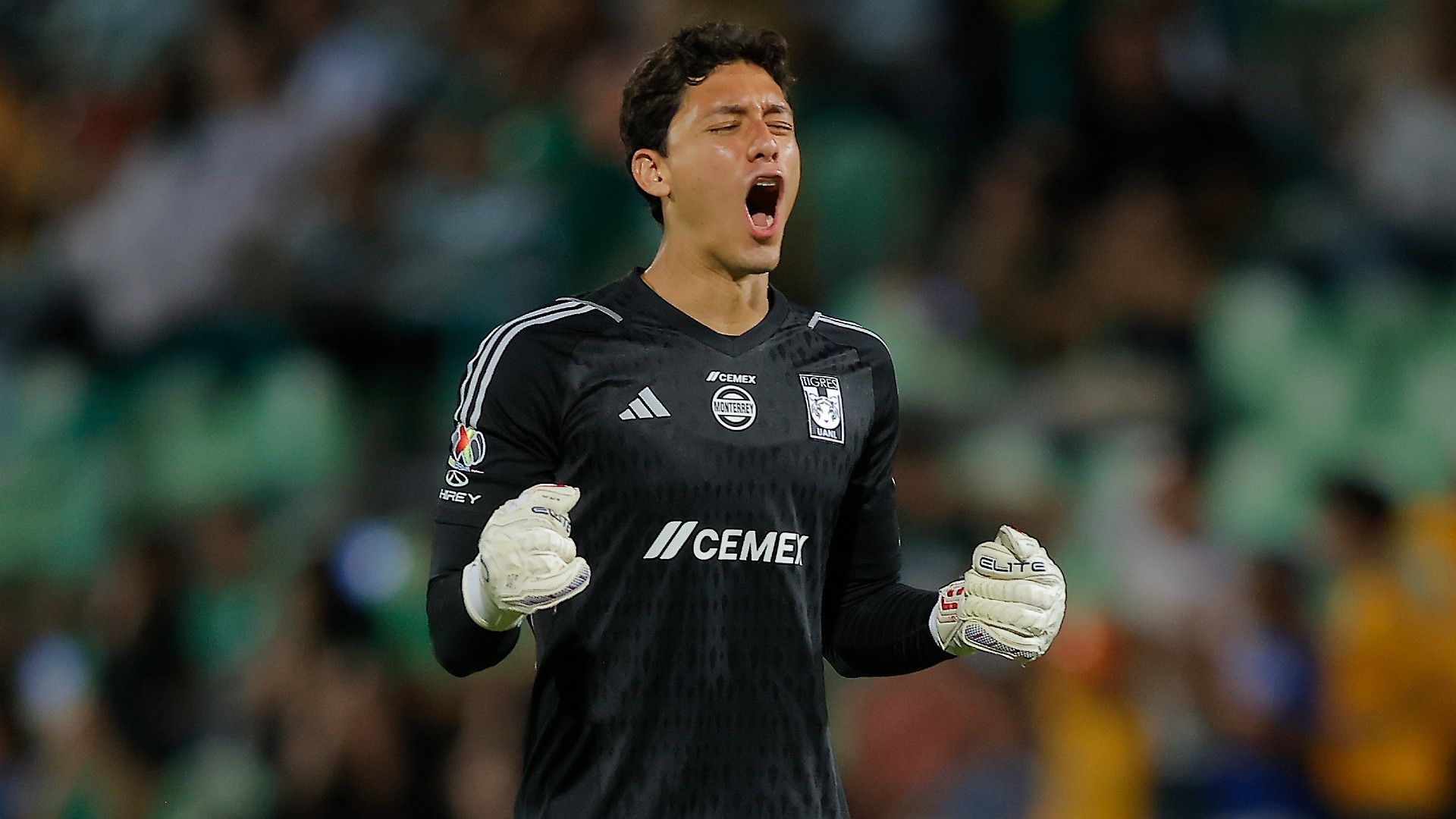 Fernando Tapia Tigres Apertura 2024