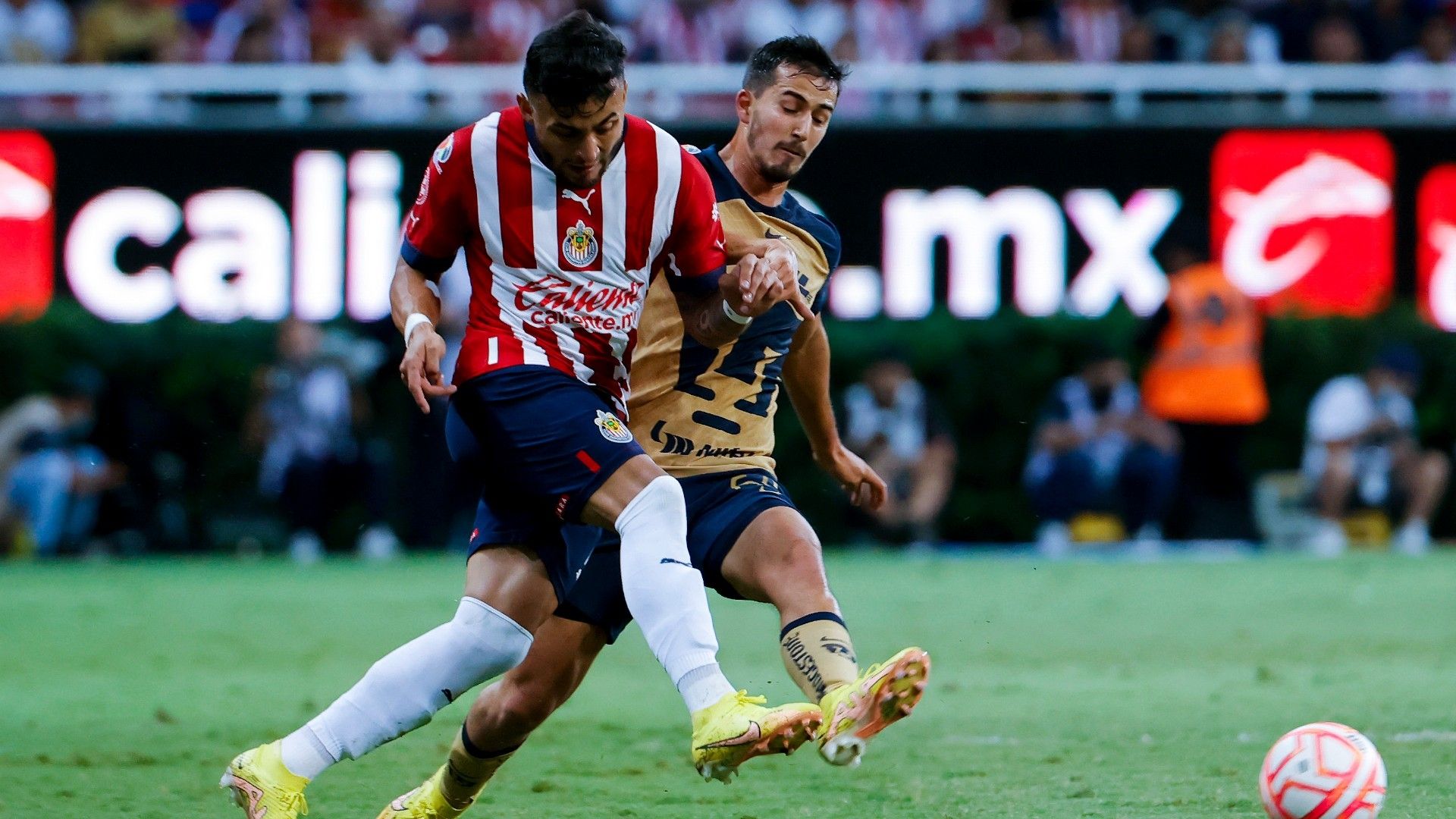 Alexis Vega Pablo Bennevendo Chivas Pumas Apertura 2022