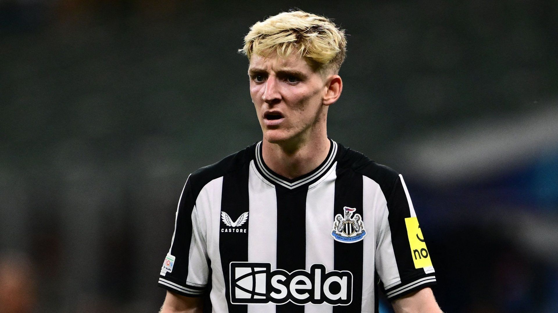 Anthony Gordon Newcastle 2023-24