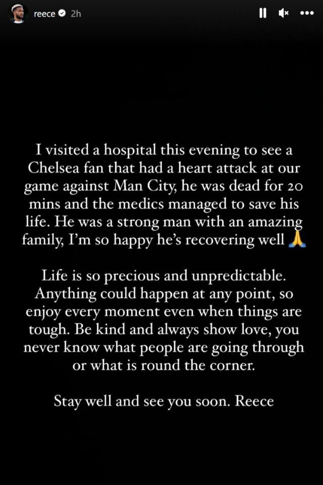 Reece James Instagram