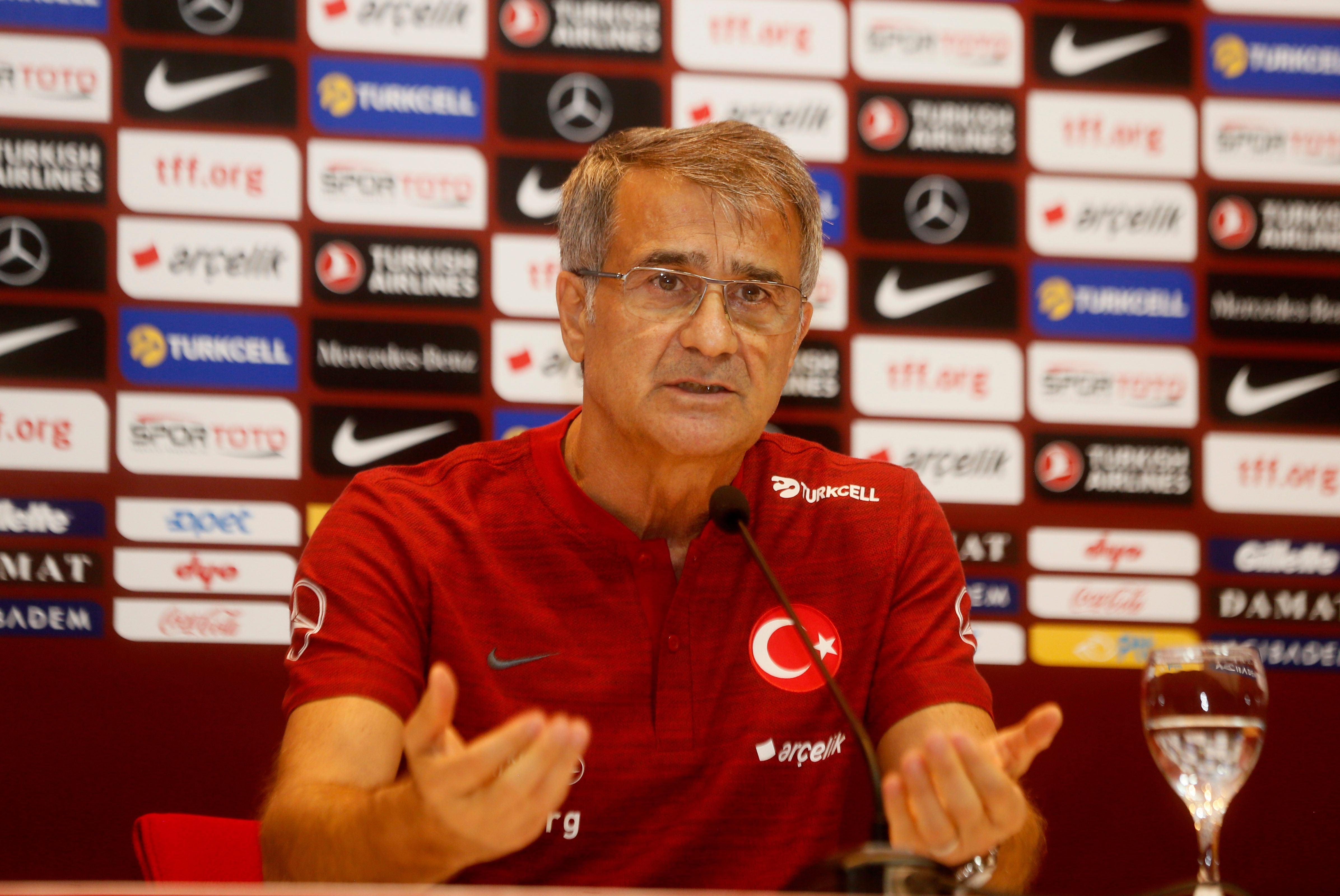 Senol Gunes Turkey Coach