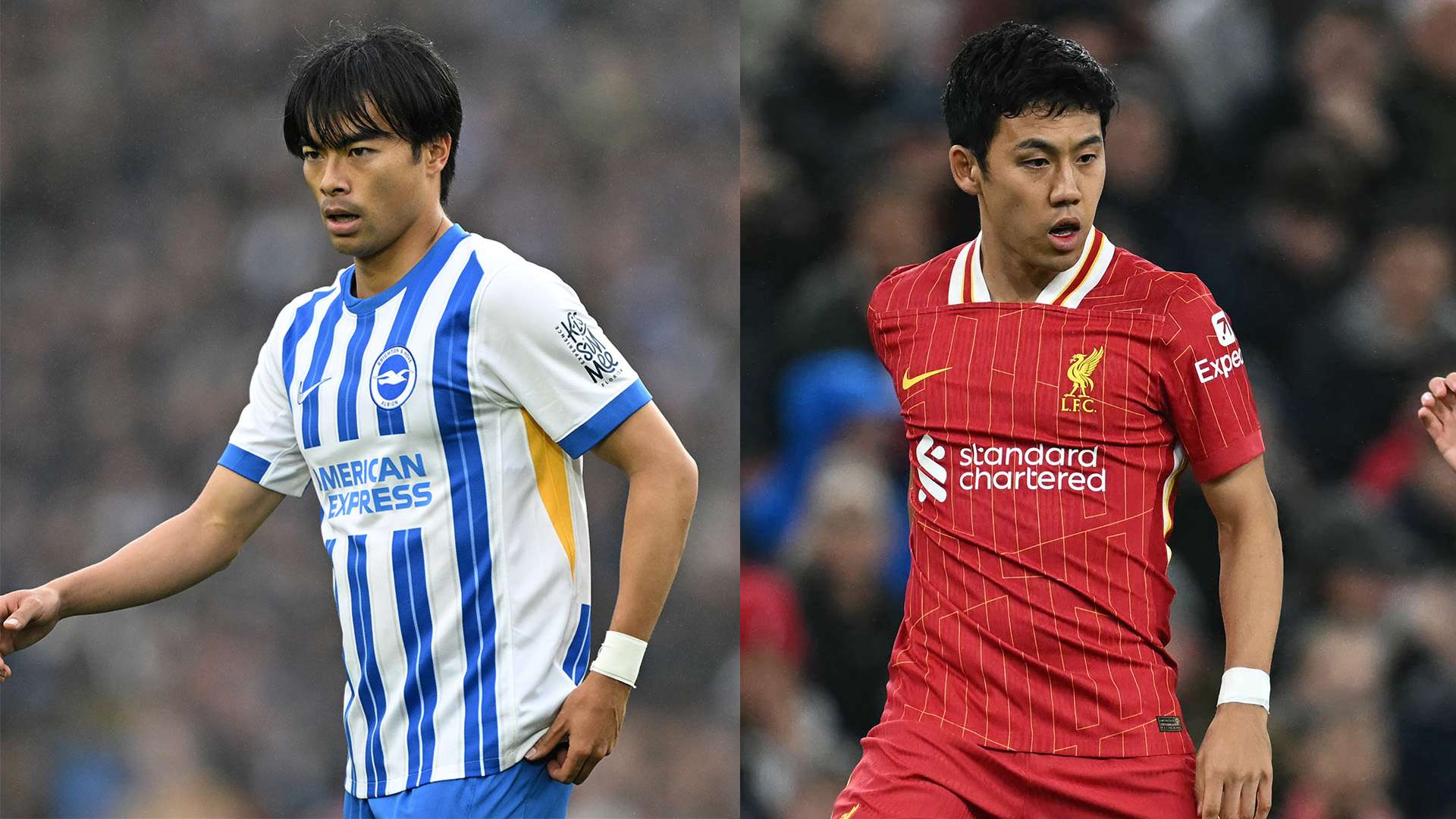 brighton-liverpool-20241031