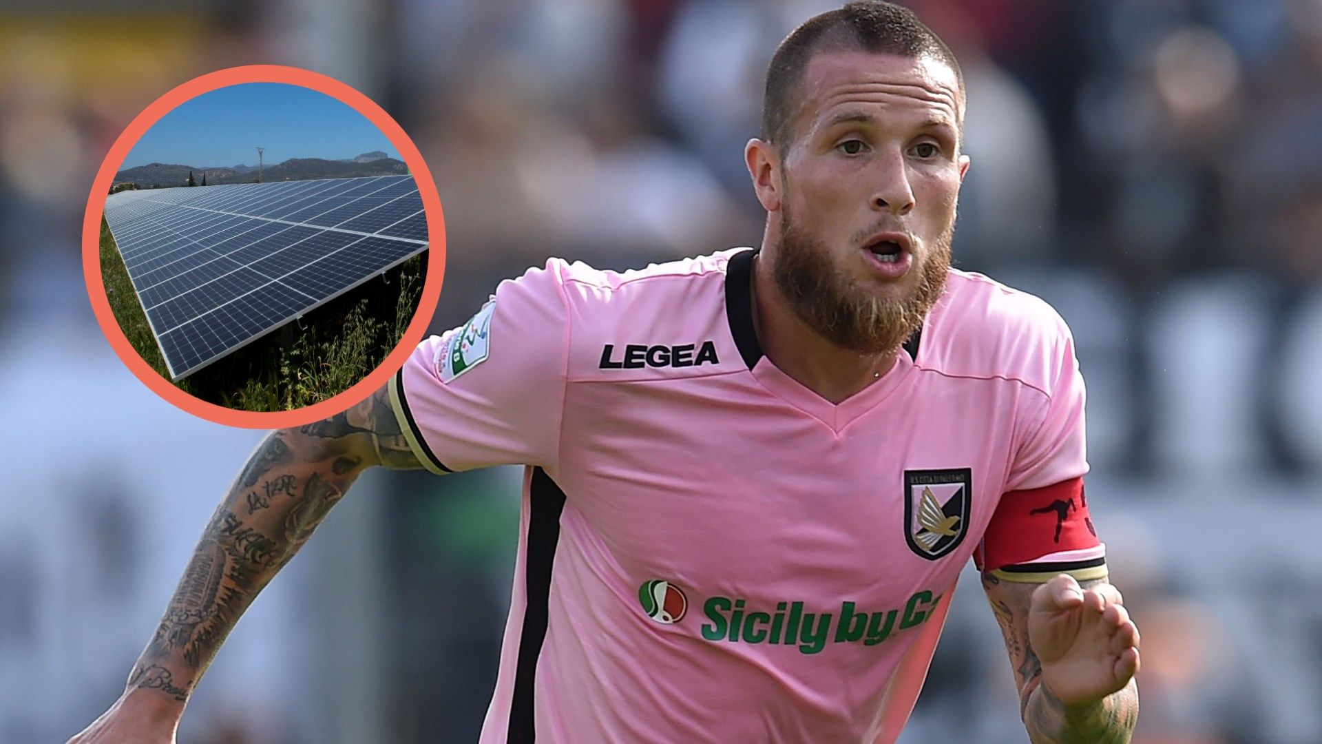 Morganella pannello solare