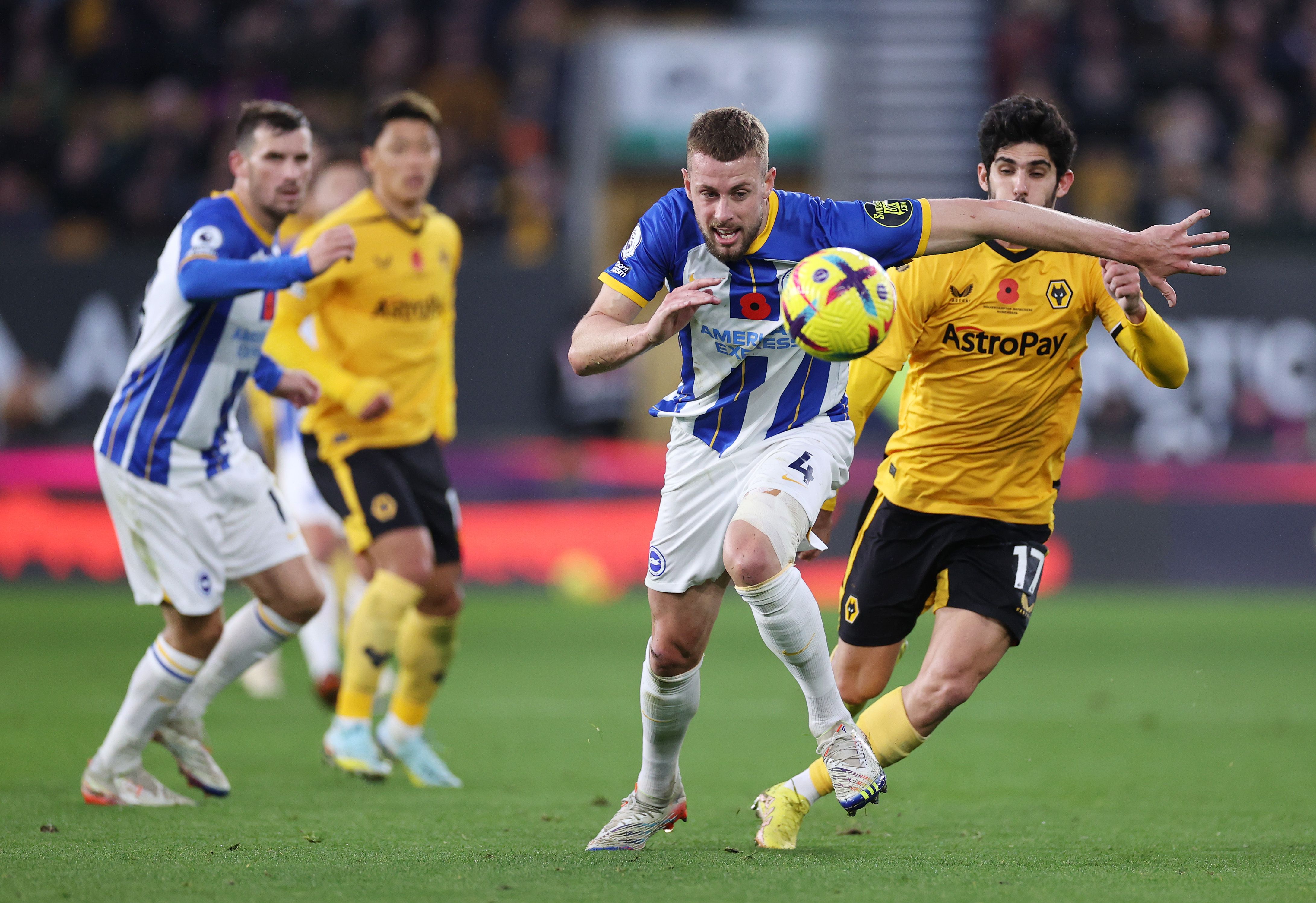 브라이튼 울버햄튼