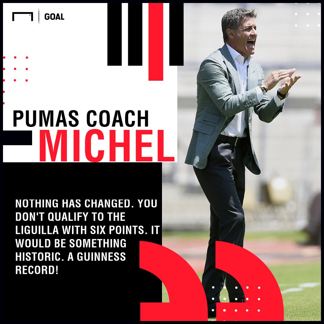 GFX Michel Pumas Playing Surface