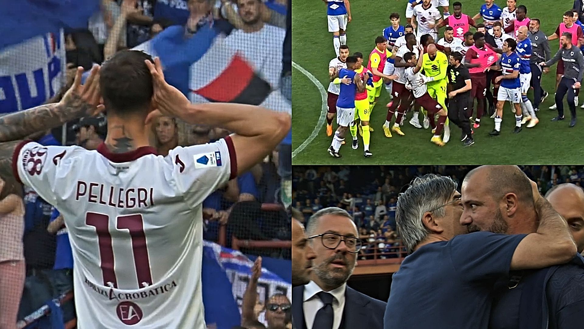 pellegri curva sampdoria