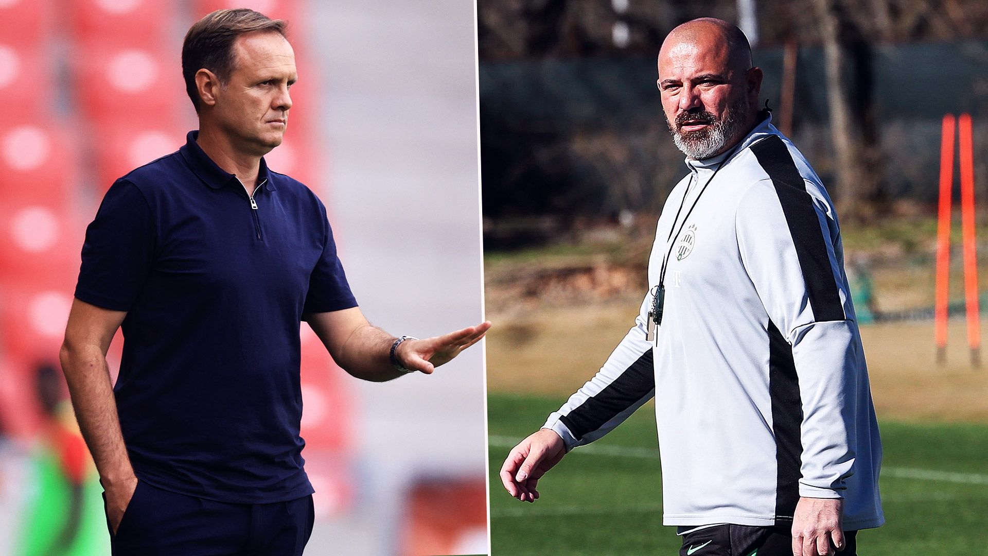 radenkovic stankovic