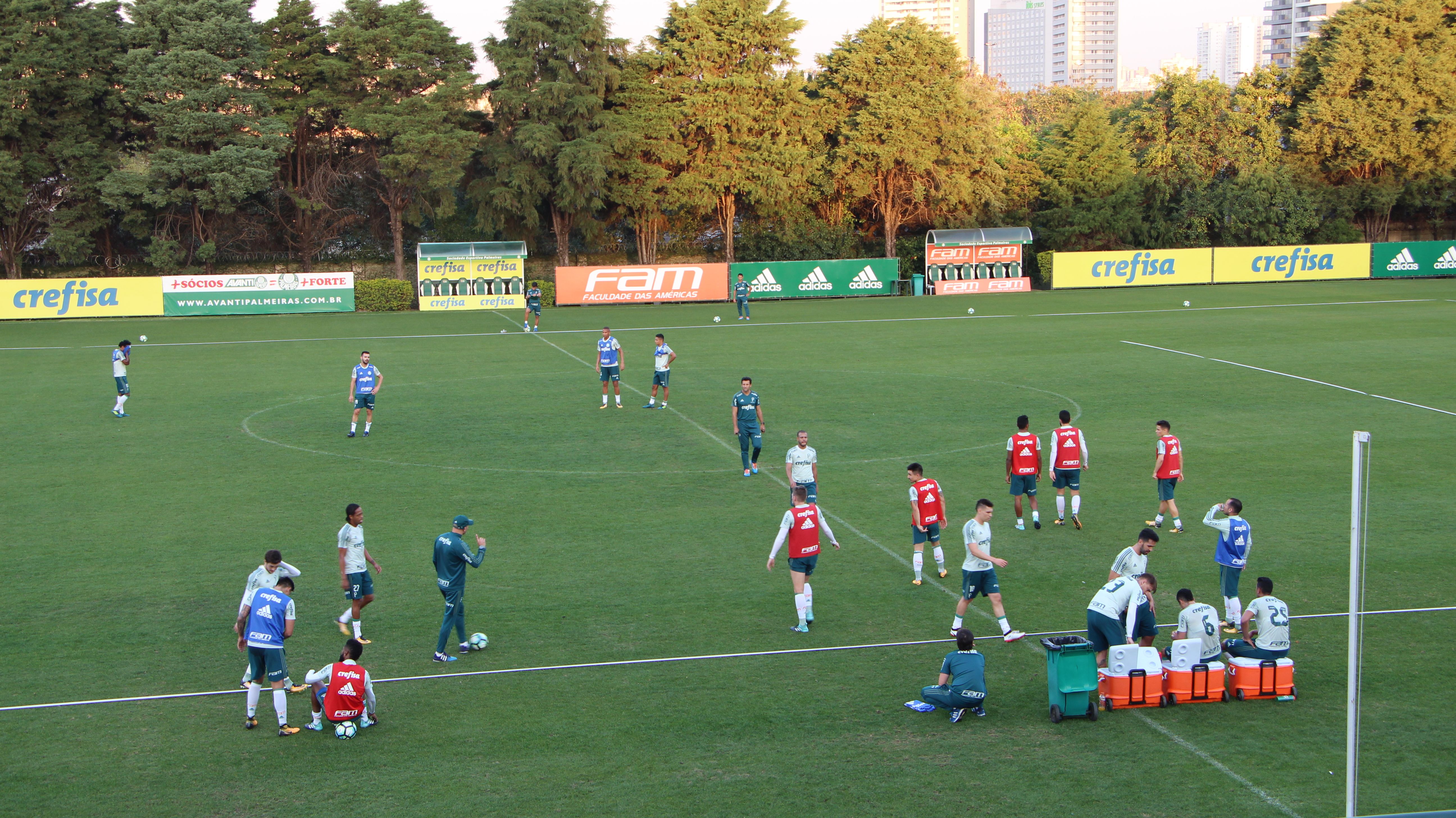 palmeiras_treino