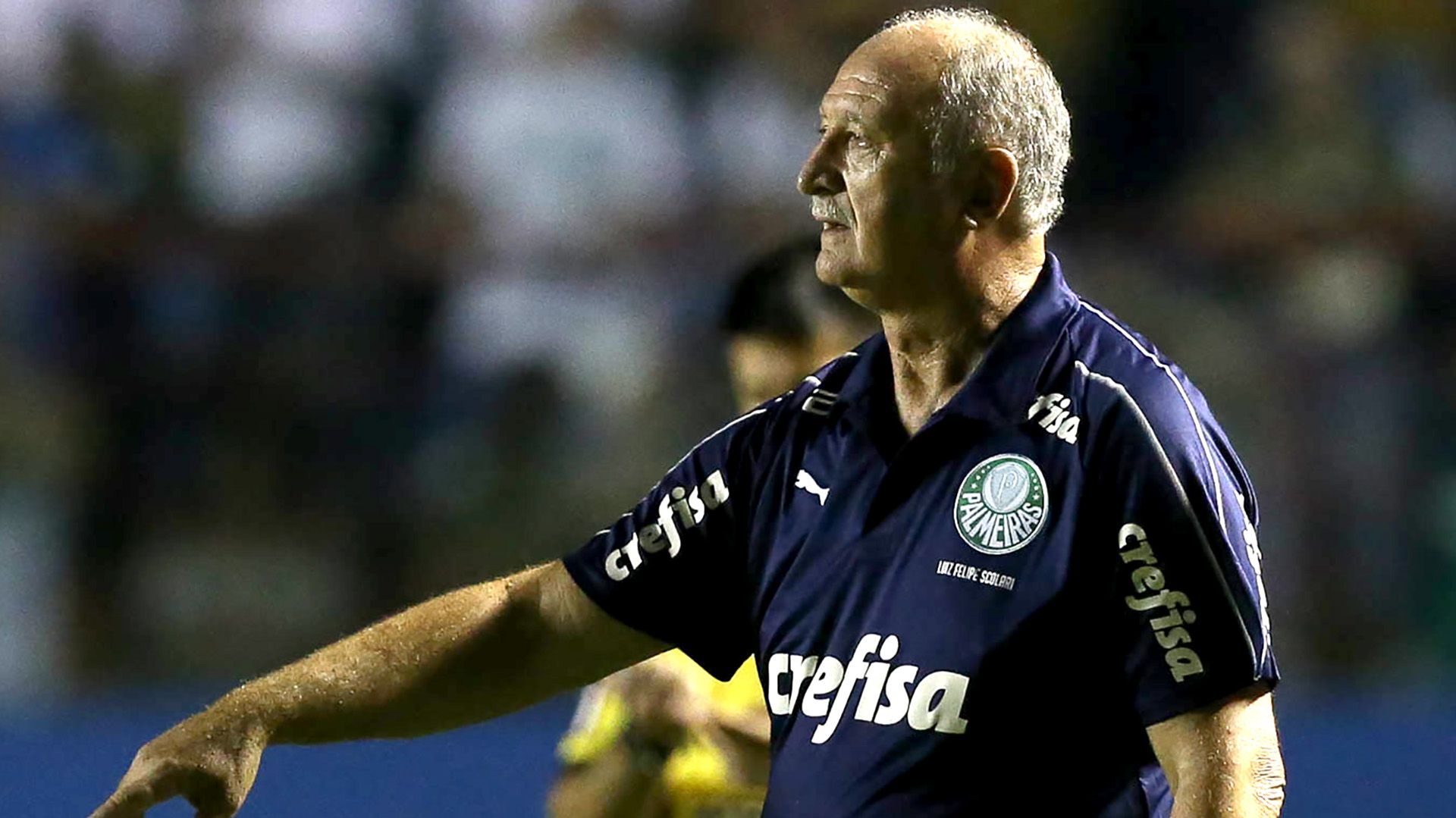 Felipão Scolari Palmeiras 30012019