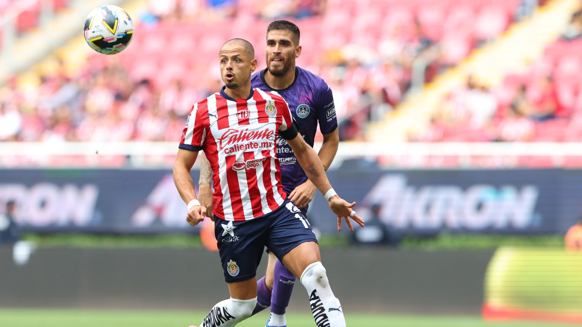 Chicharito Hernández Chivas Apertura 2024