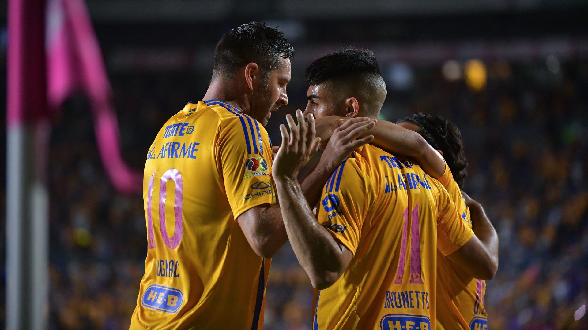 Tigres Apertura 2024