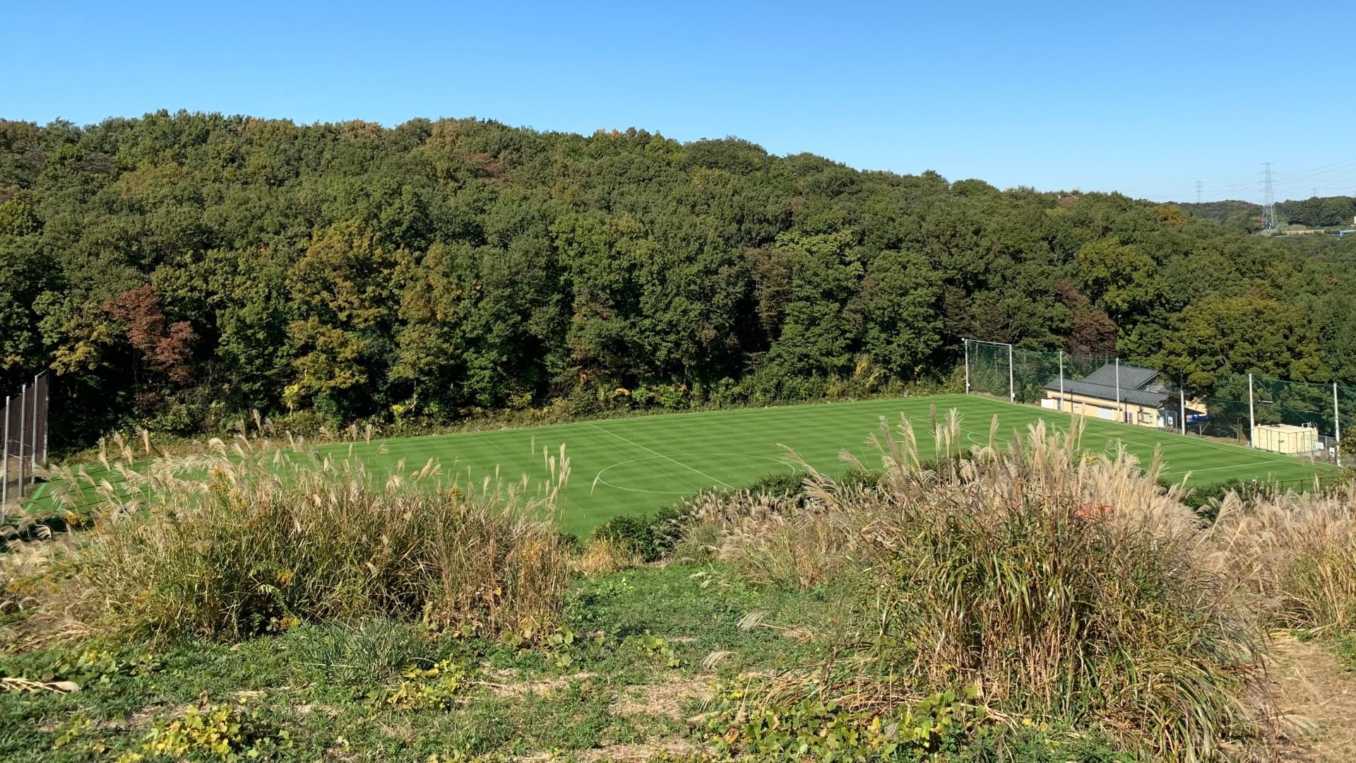 2019-11-18-harahiromi