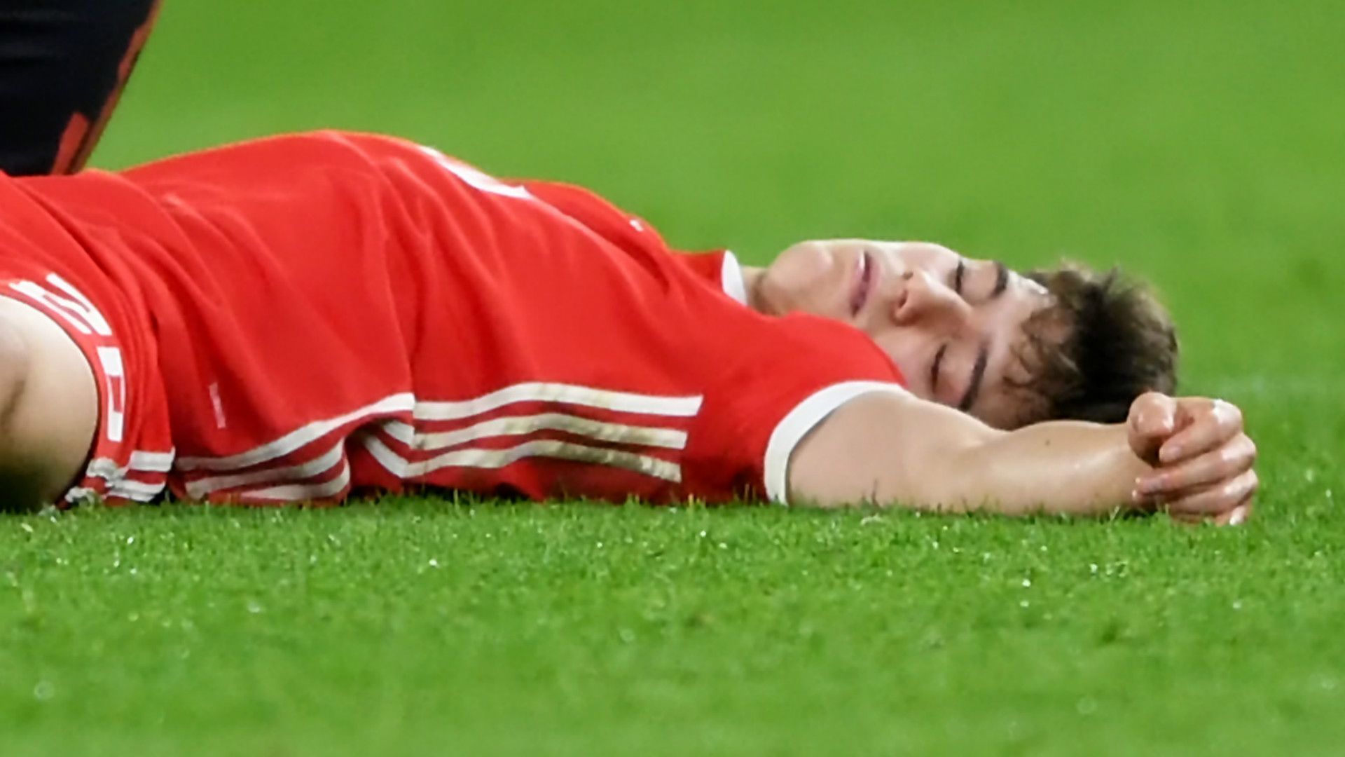 Daniel James Wales 2019