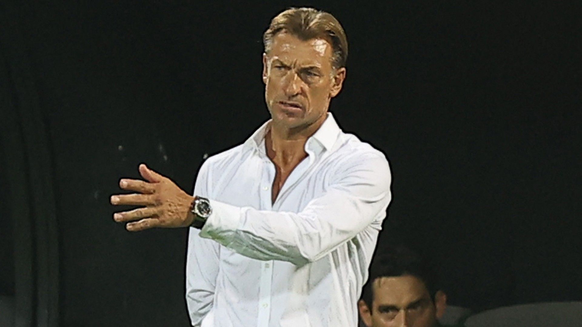 Herve Renard