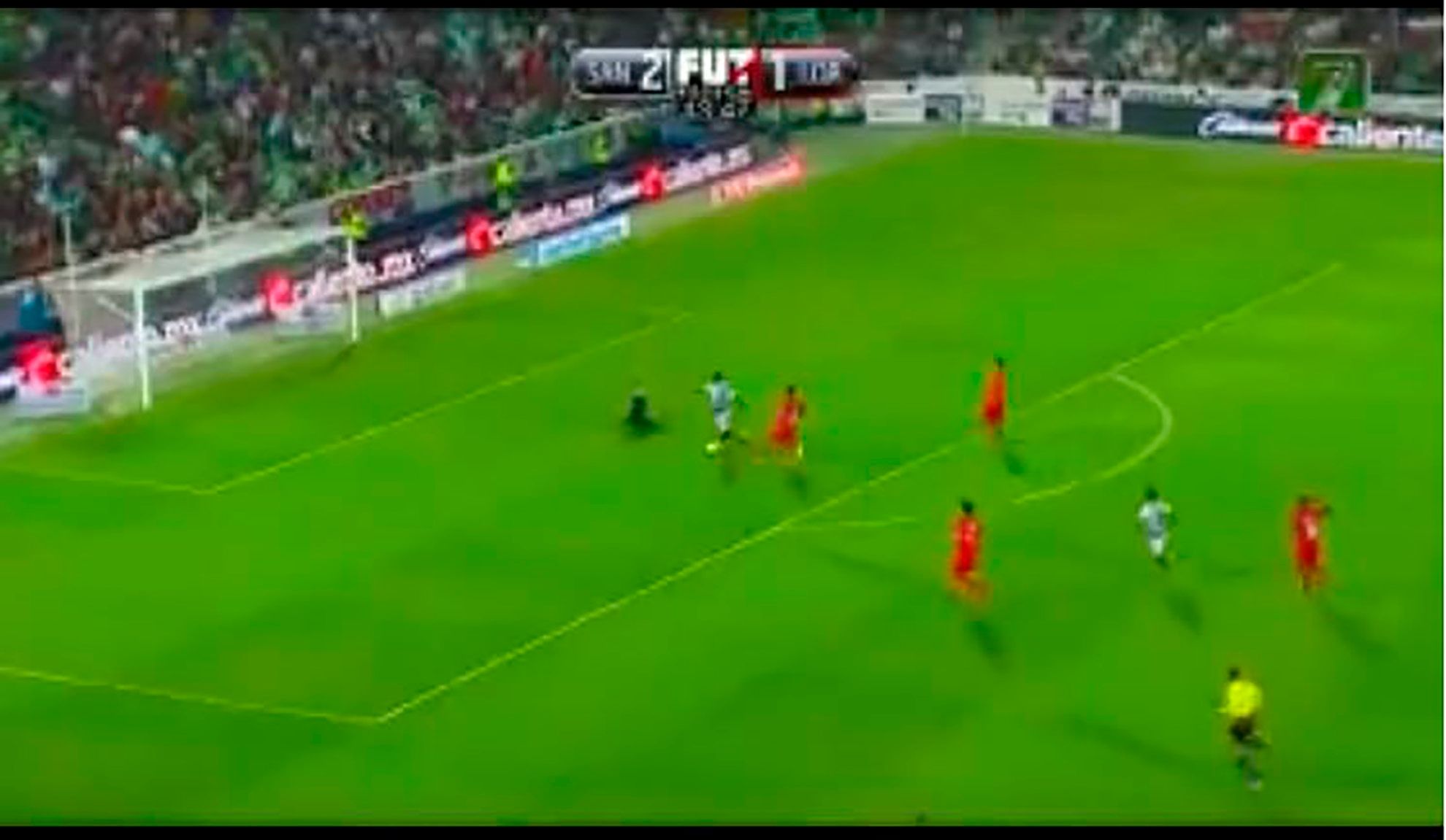 Djaniny