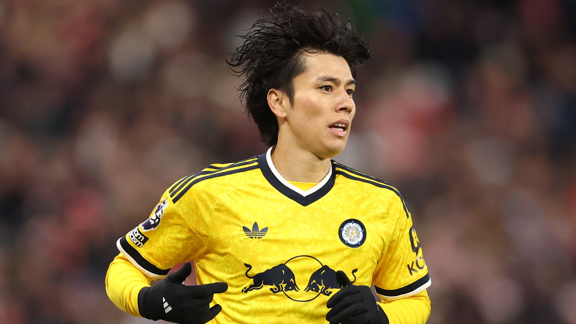 ao-tanaka