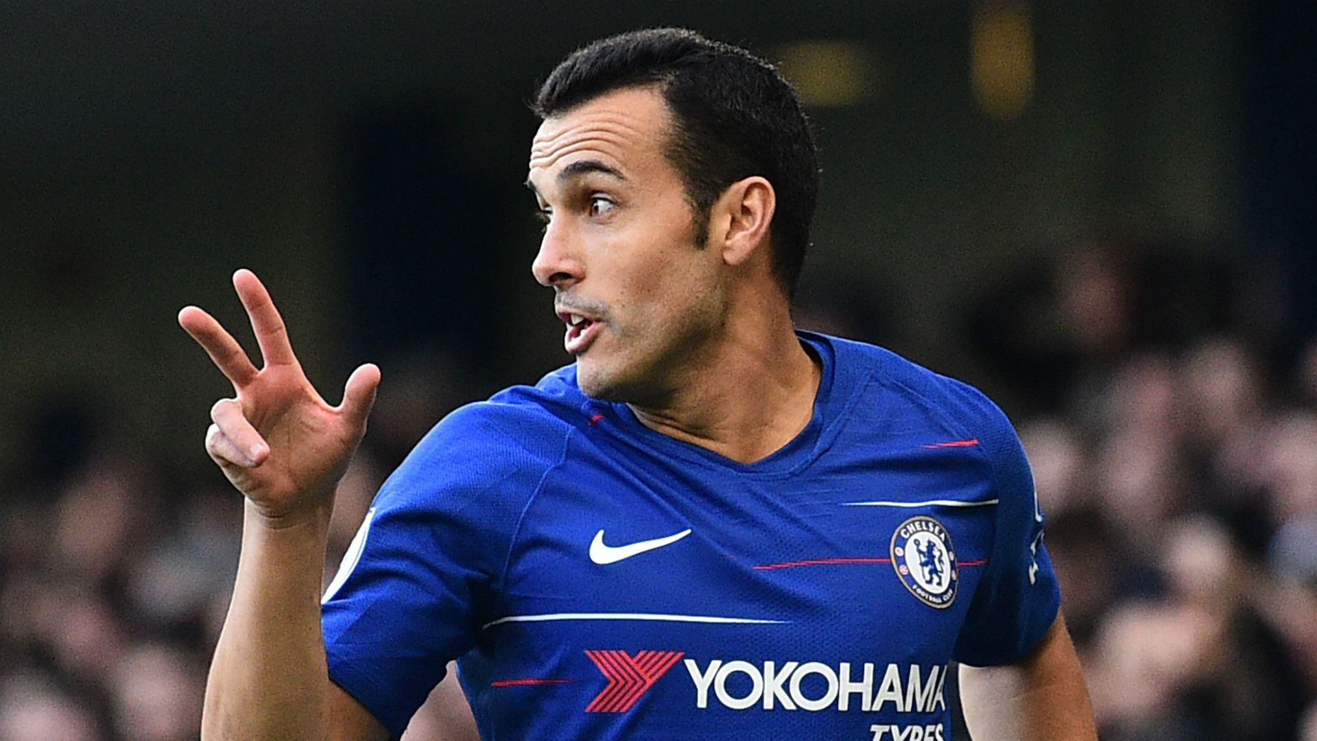 Pedro Chelsea 2018-19