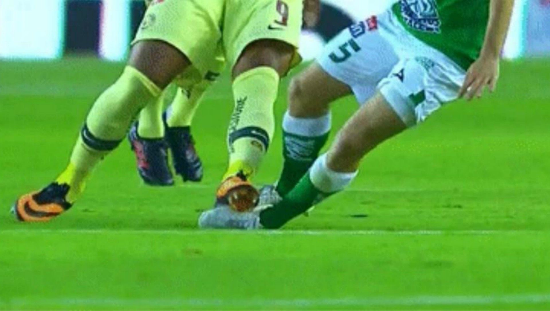 León América Resumen
