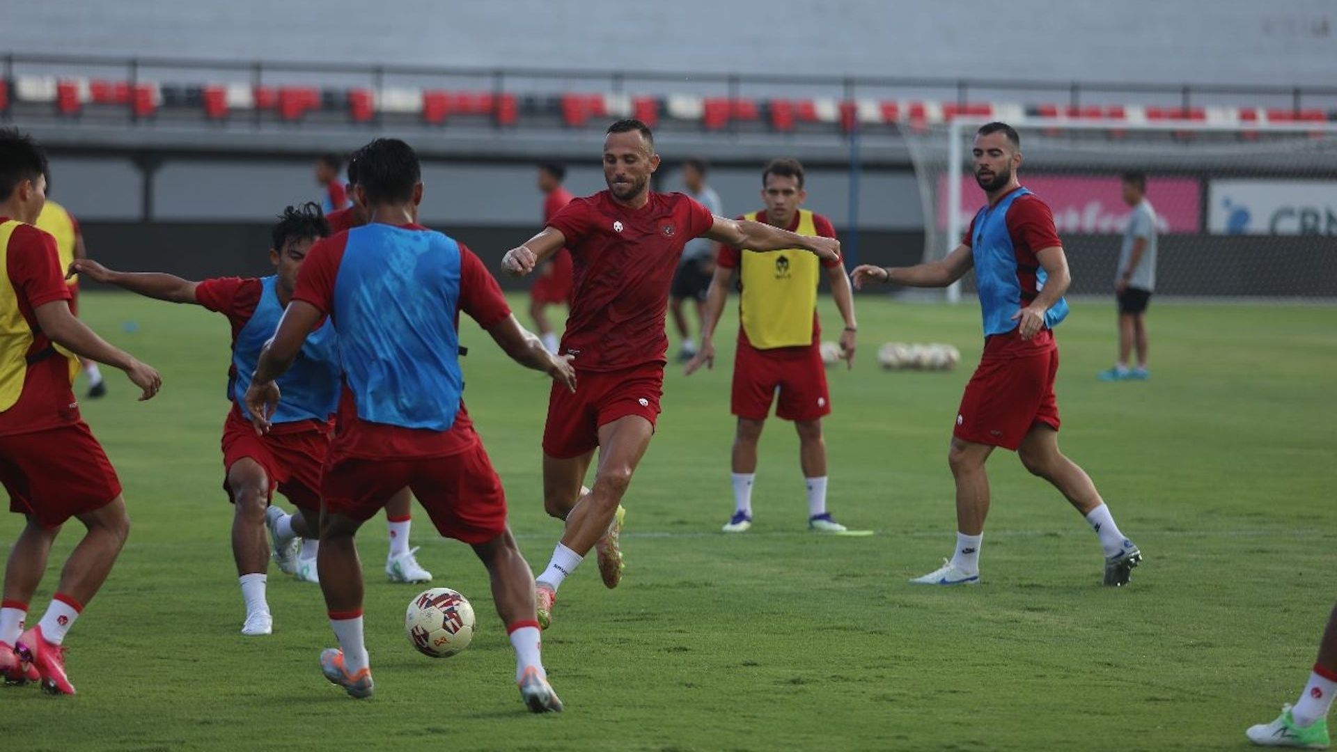 Ilija Spasojevic - Timnas Indonesia