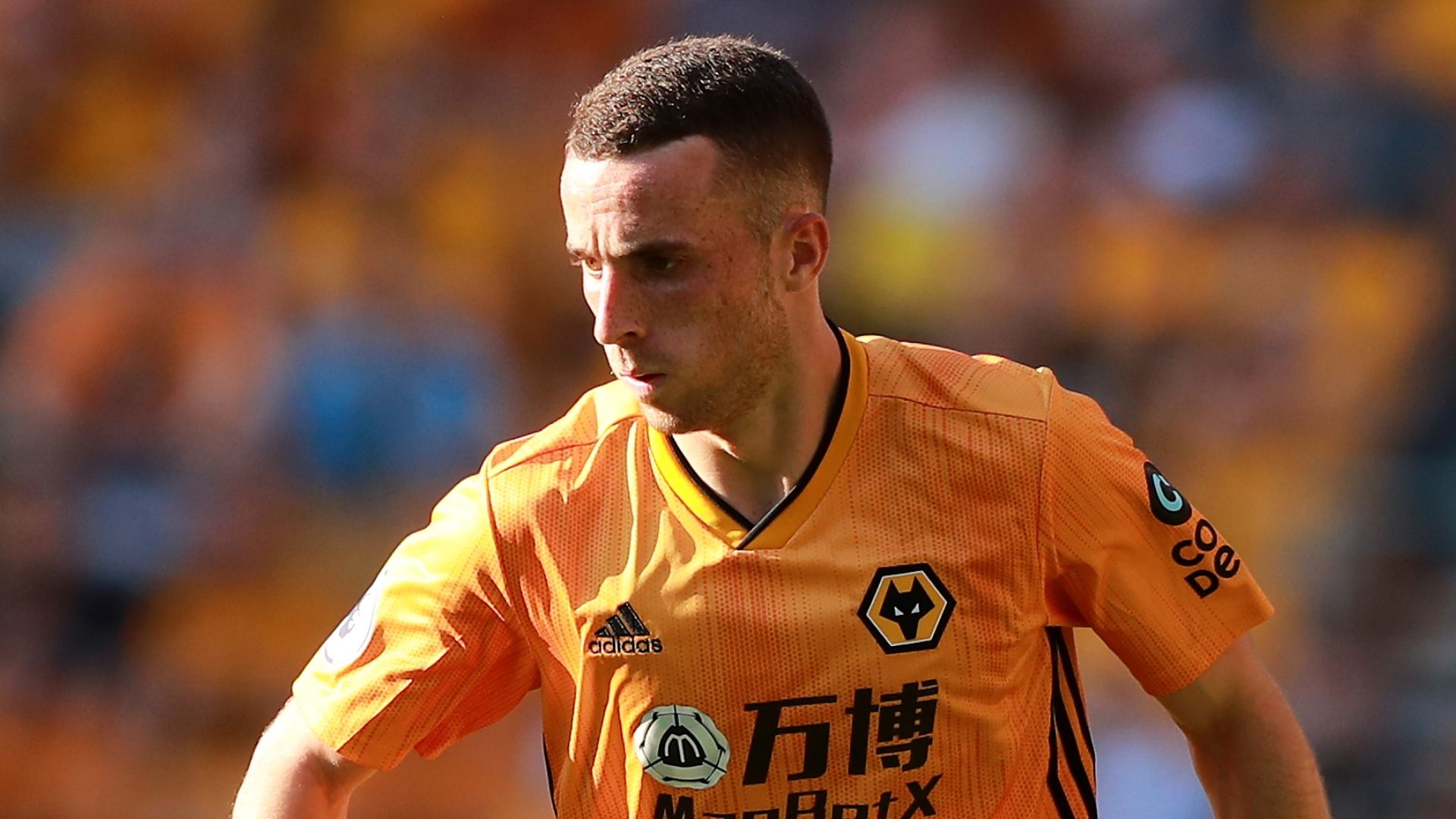 Diogo Jota, Wolverhampton Wanderers